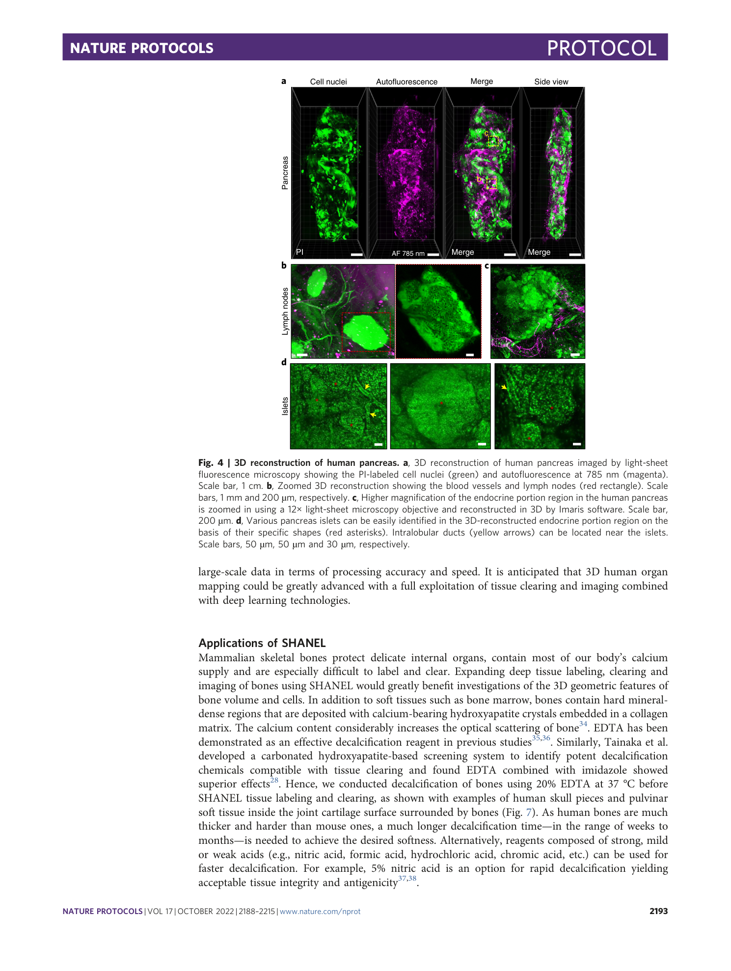 page-6
