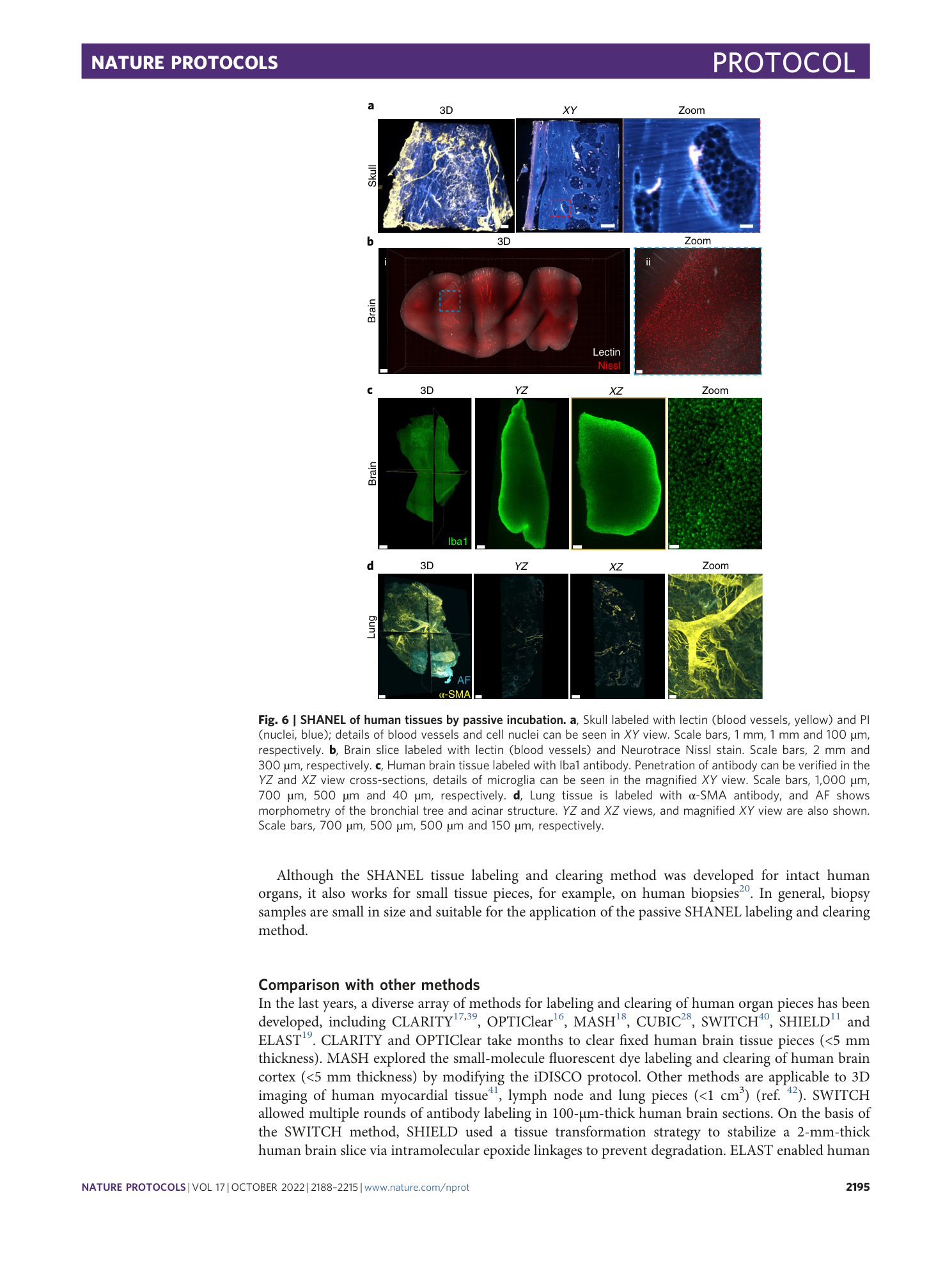 page-8