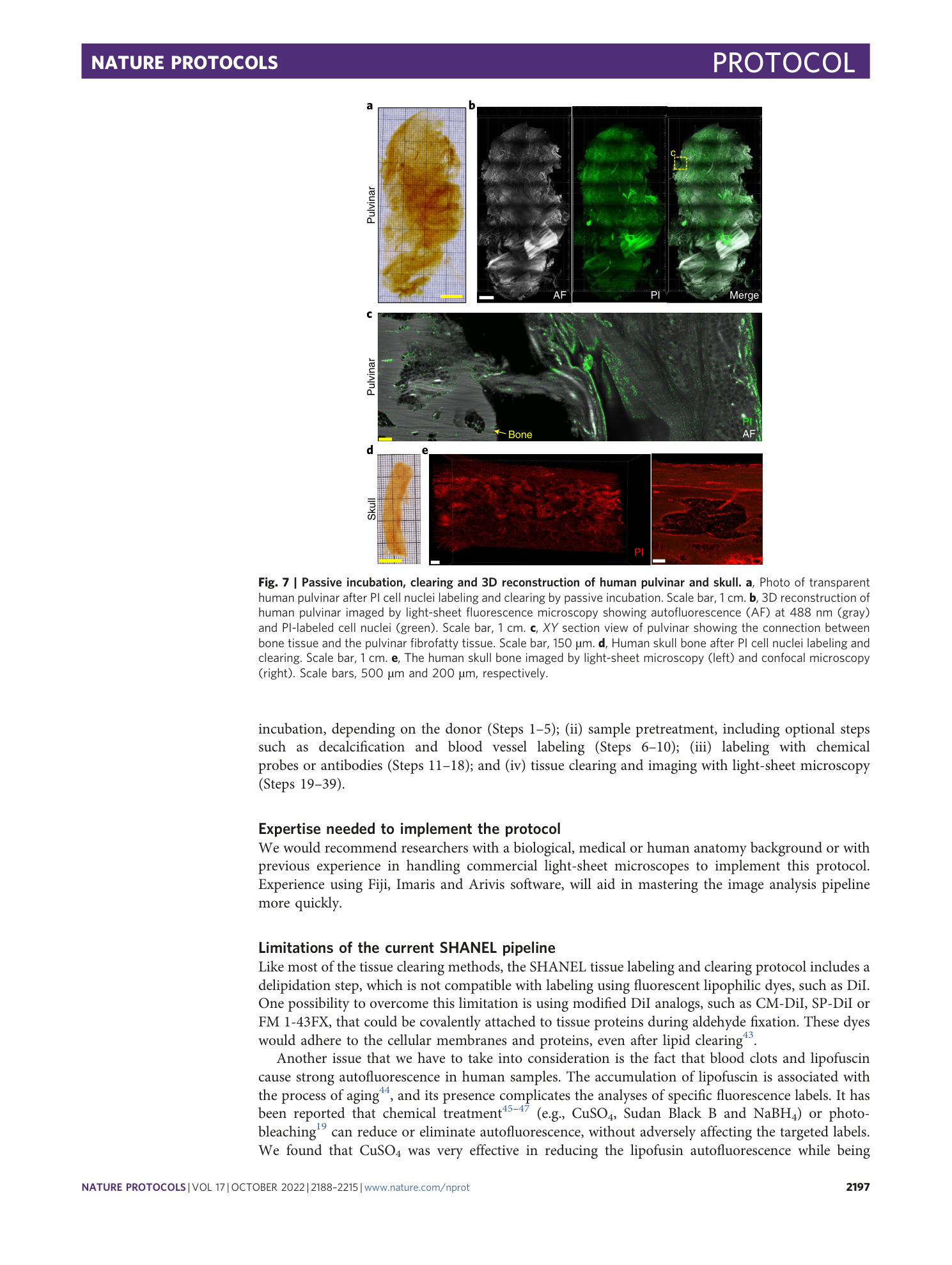 page-10
