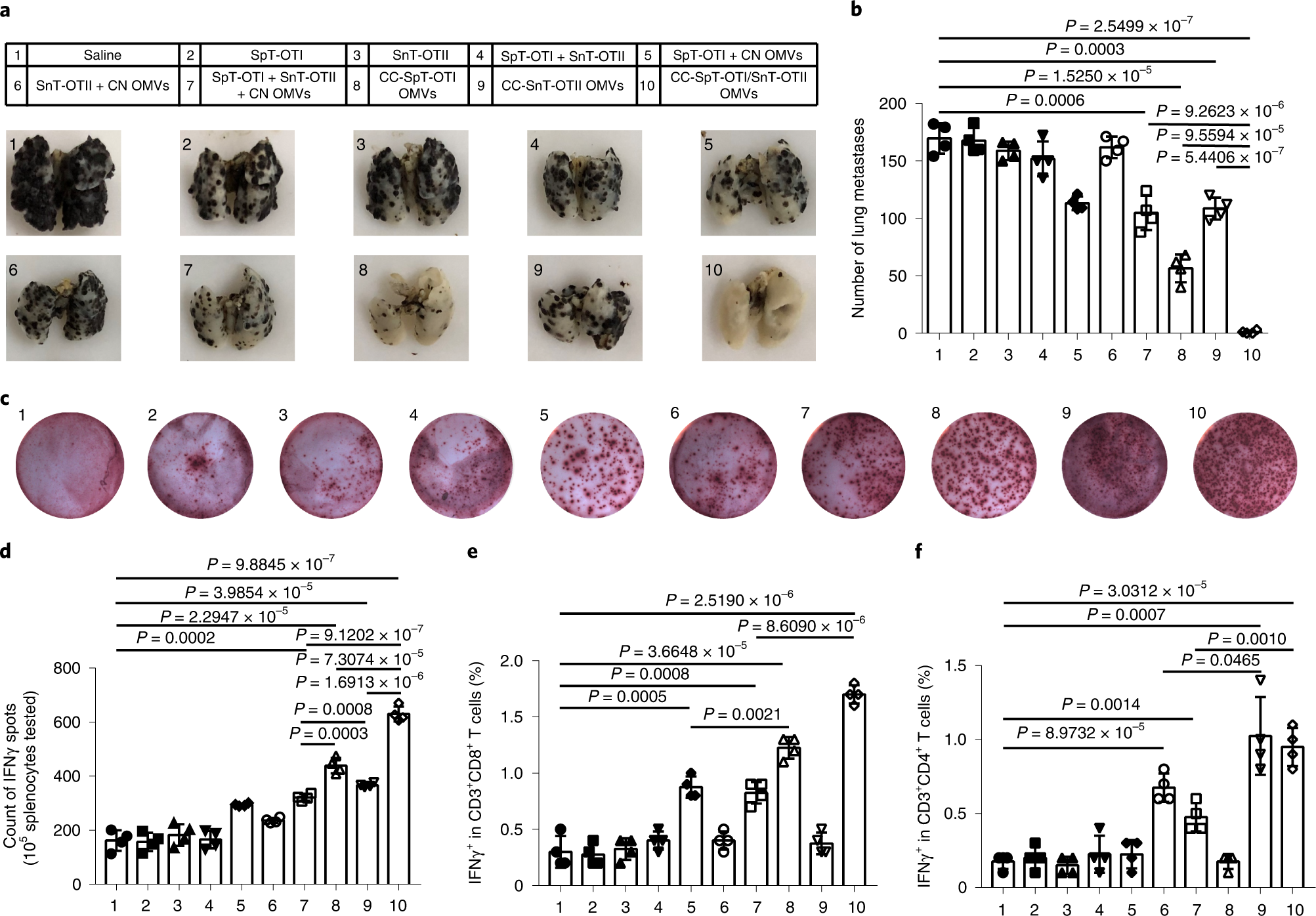 Fig. 5: Evaluation of OMV-based nanovaccines displaying two model antigens (OTI and OTII) in the pulmonary metastatic melanoma model.