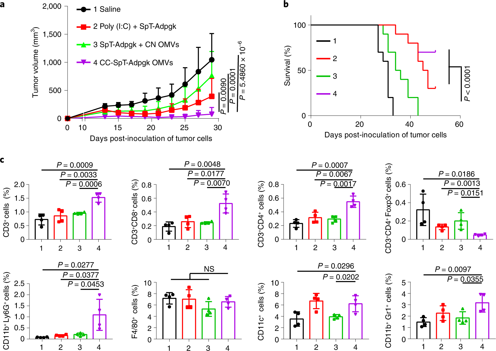 Fig. 6: Evaluation of OMV-based nanovaccines displaying one tumor antigen (Adpgk) in the subcutaneous colon cancer model.