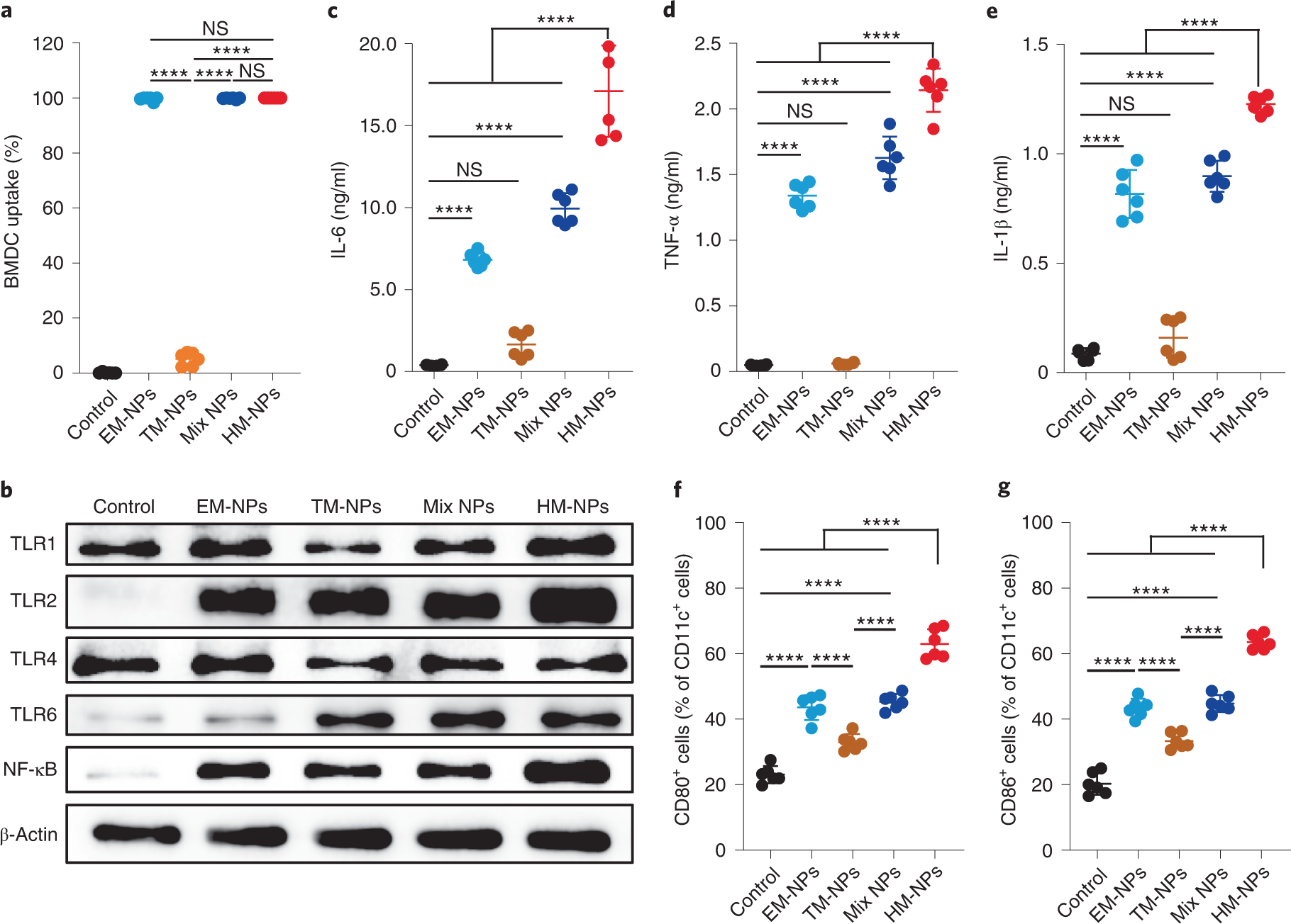 Fig. 9: BMDC activation and maturation in vitro.