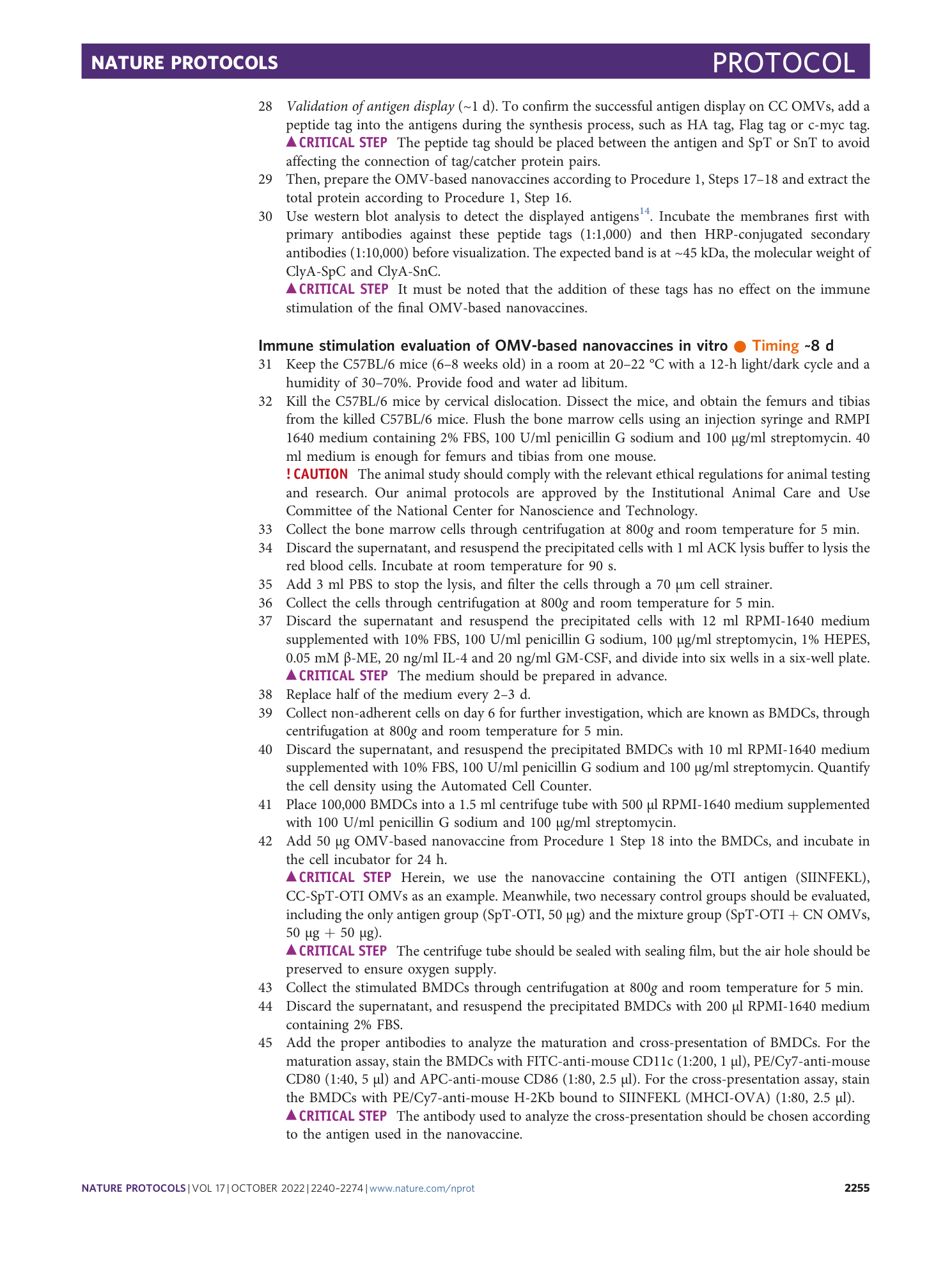 page-16