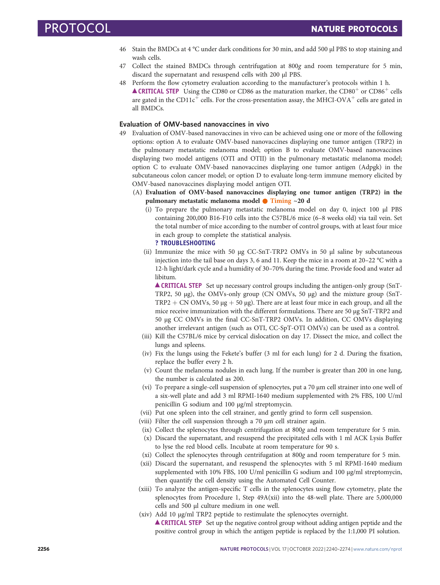 page-17