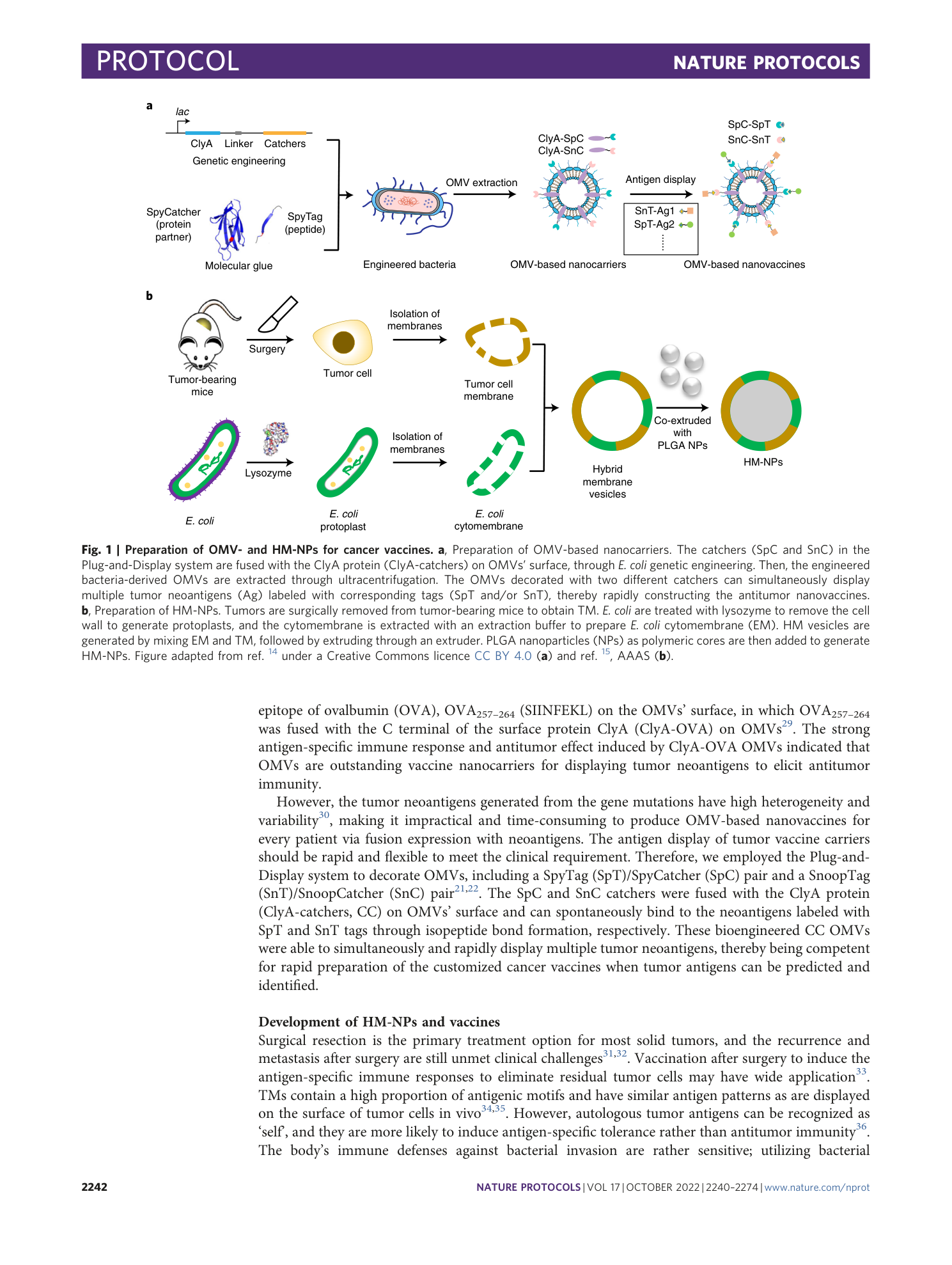 page-3