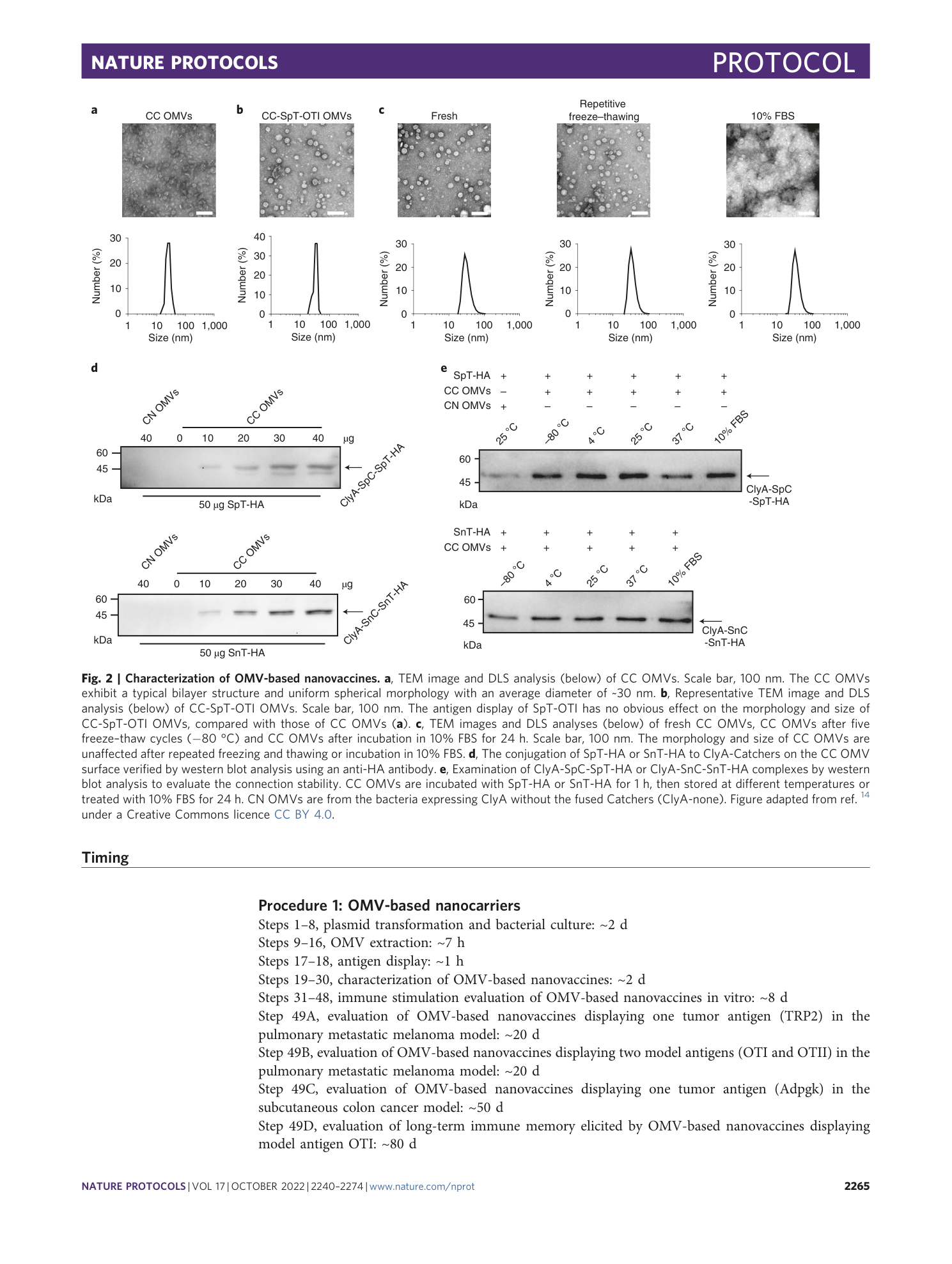page-26