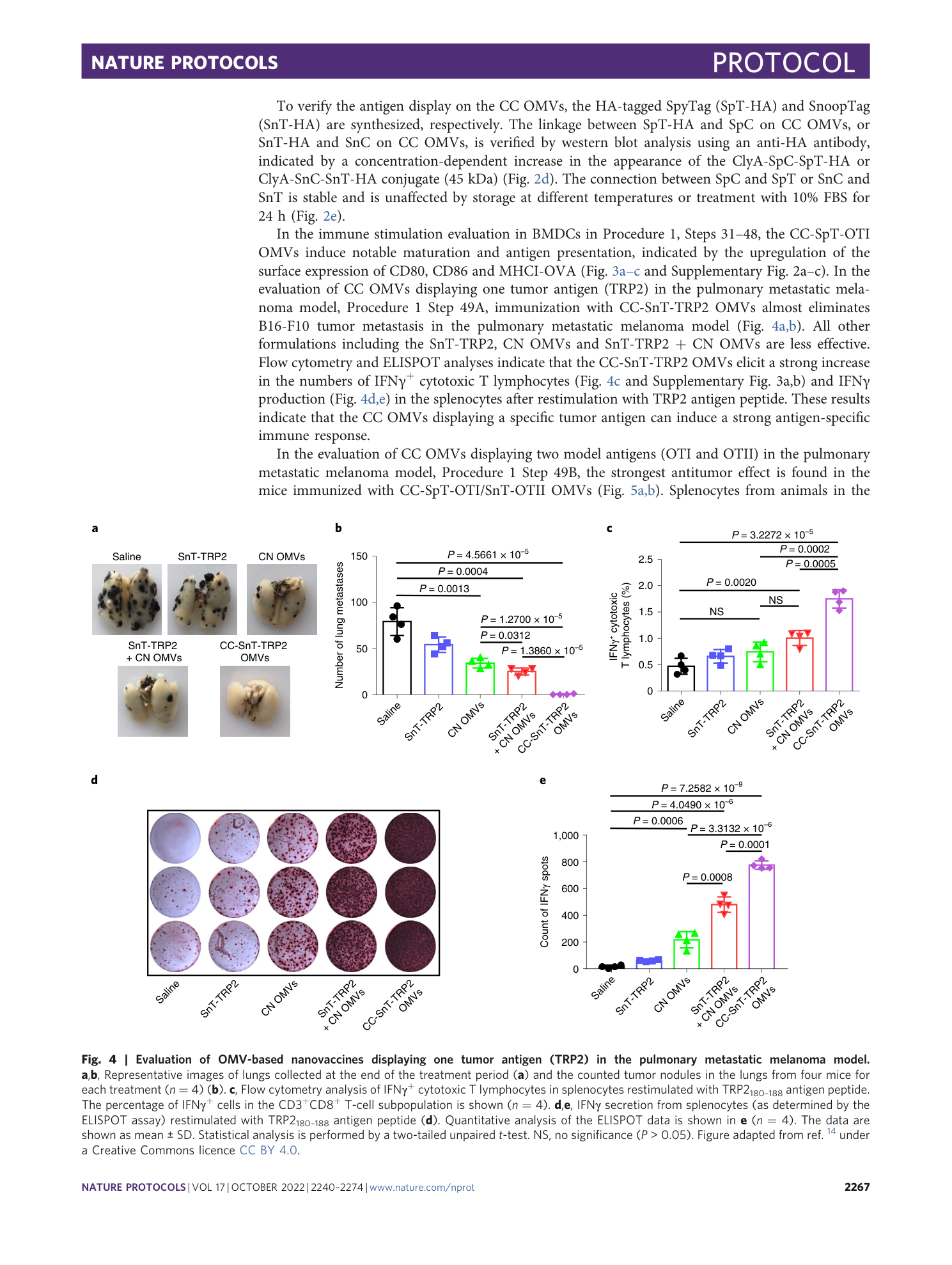 page-28