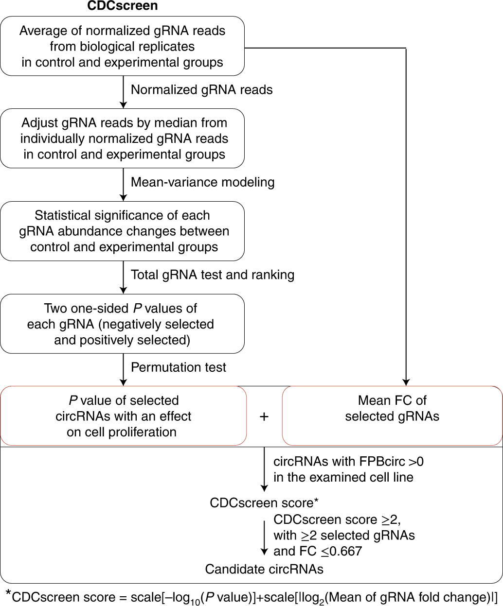 Fig. 4: CDCscreen computational pipeline to identify candidate circRNAs.