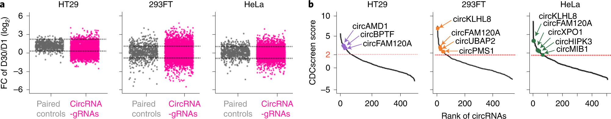 Fig. 5: Results of a functional circRNA screen using the RfxCas13d/BSJ-gRNA system.