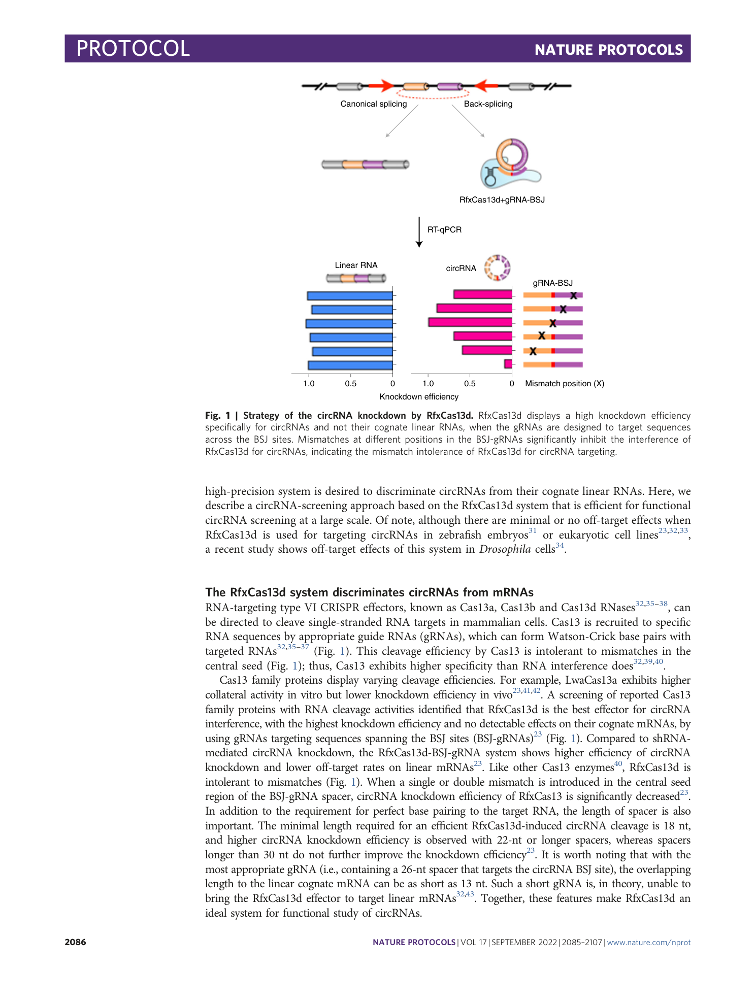 page-2