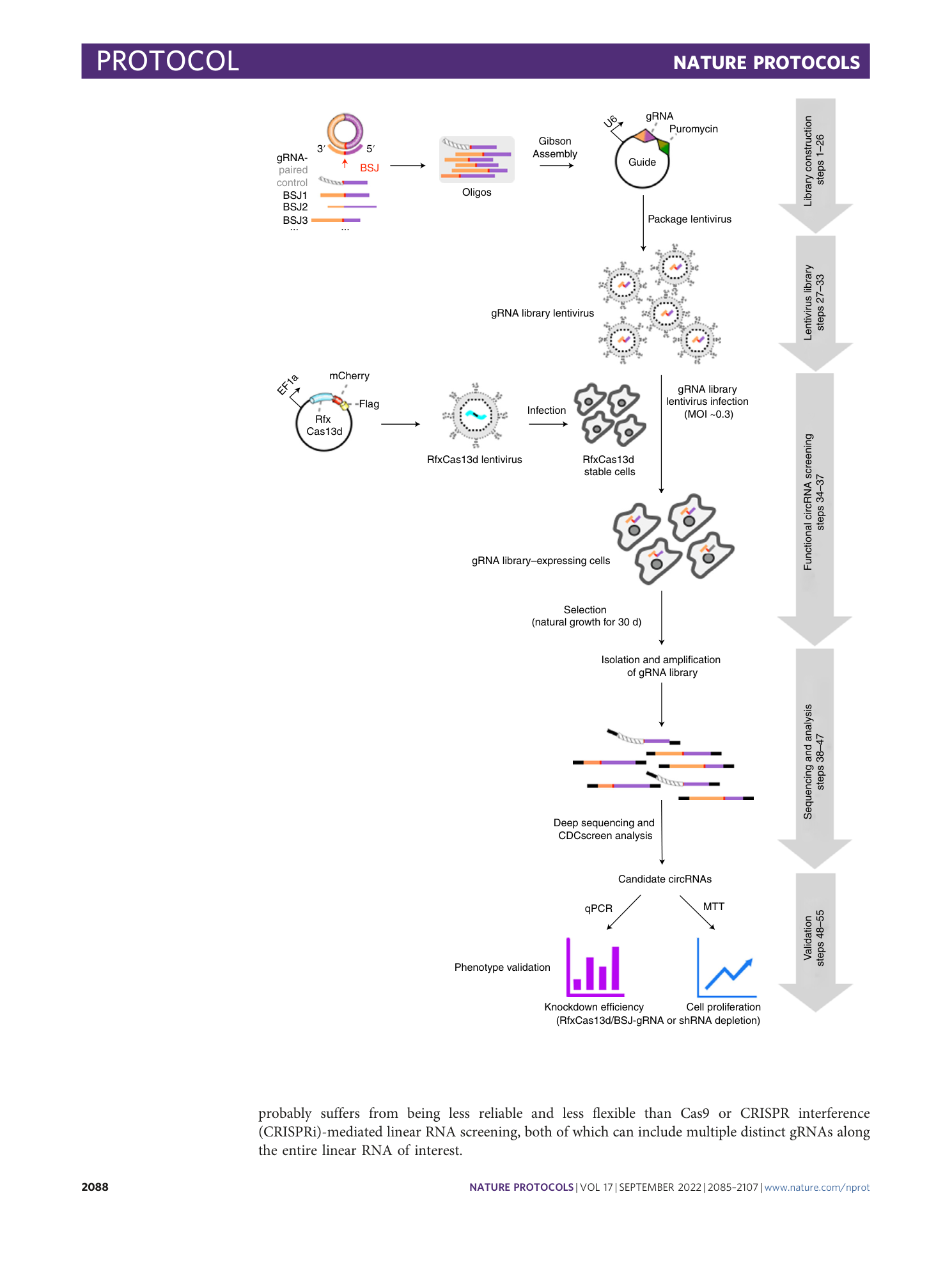 page-4