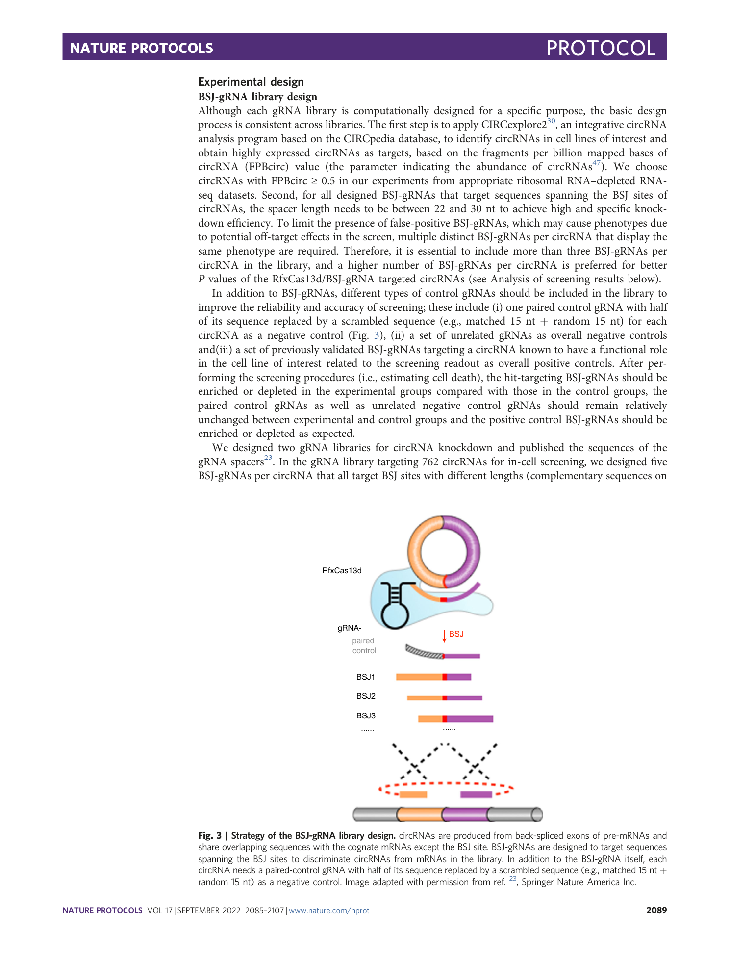 page-5