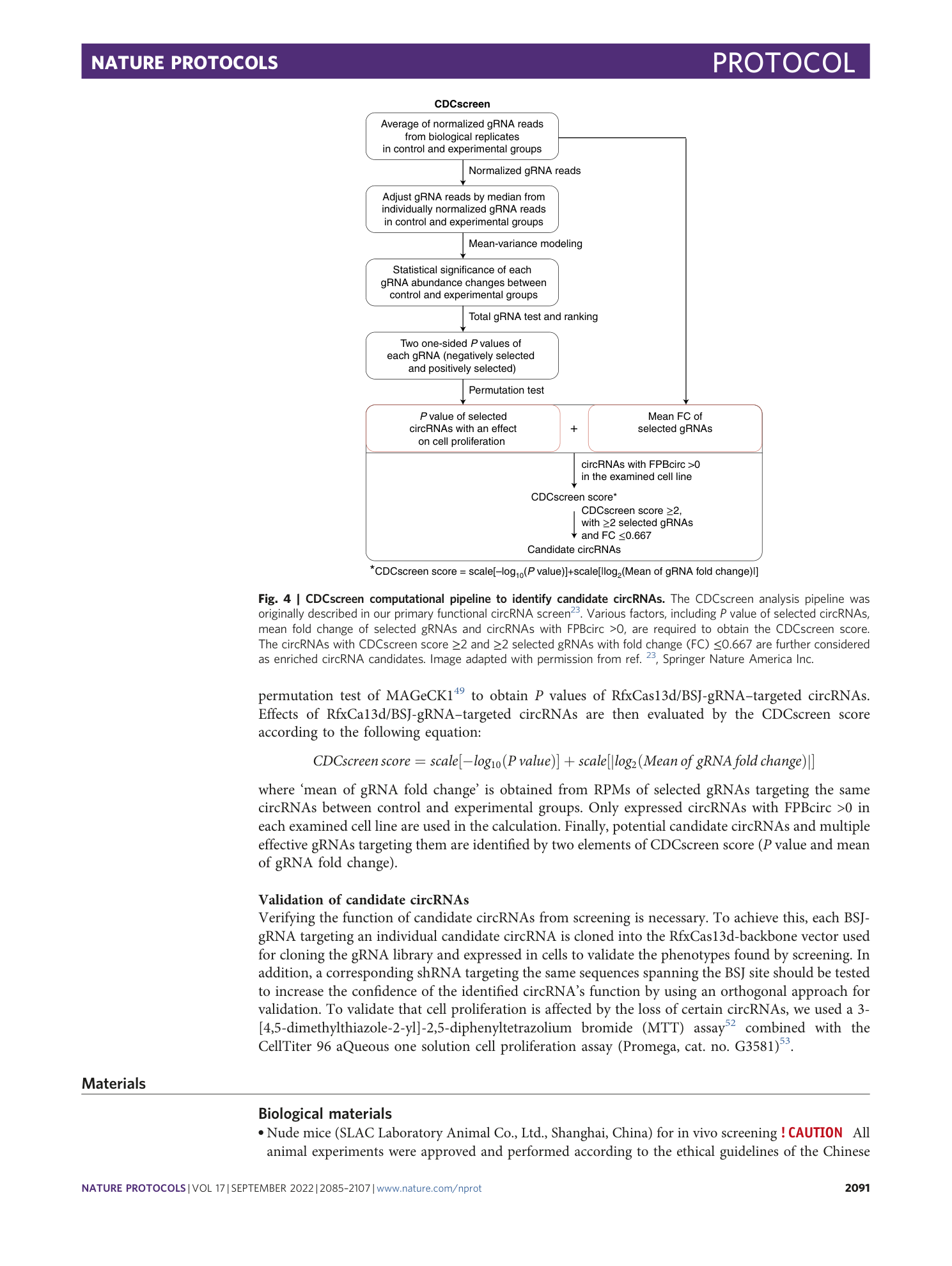 page-7