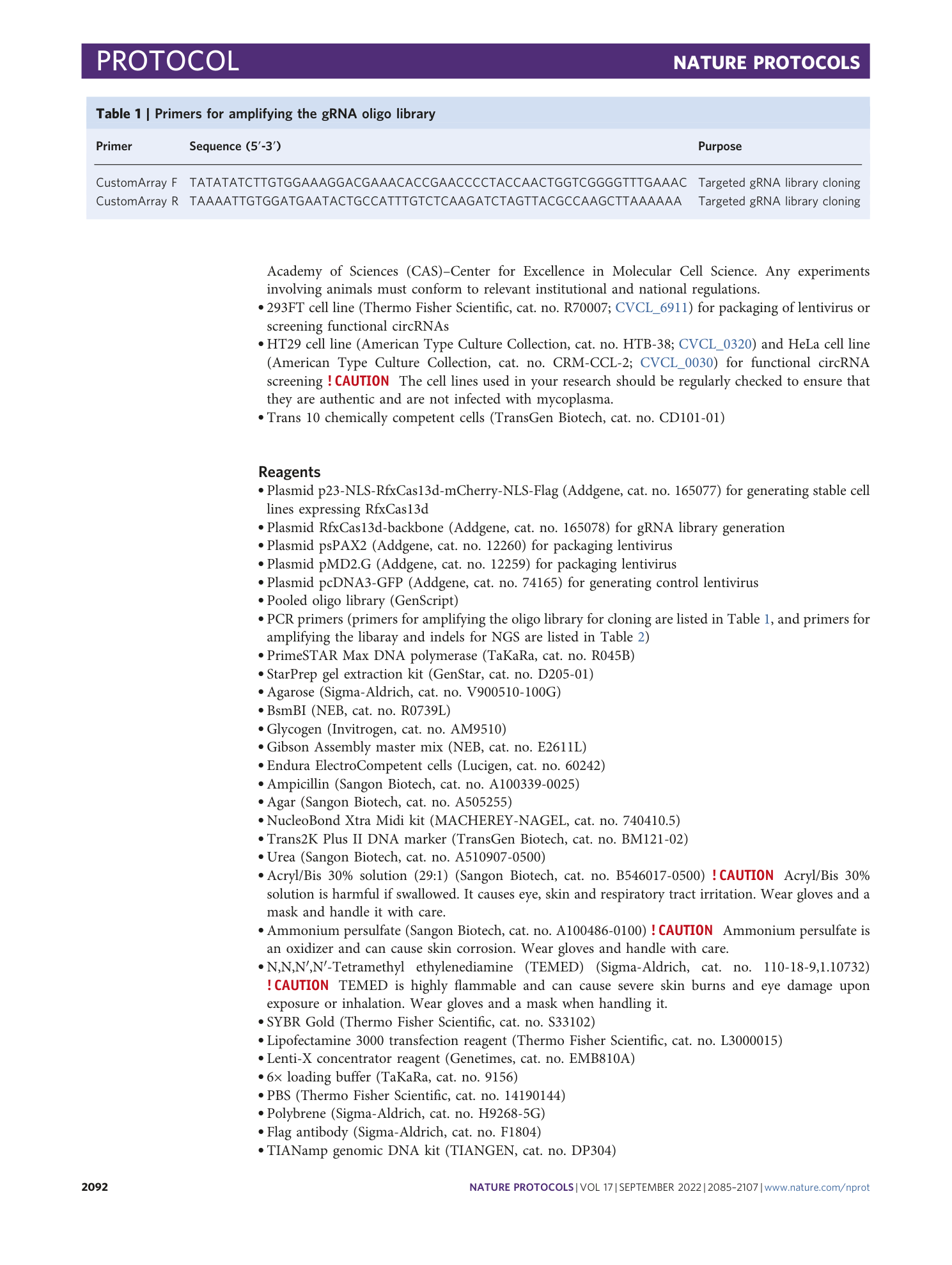 page-8