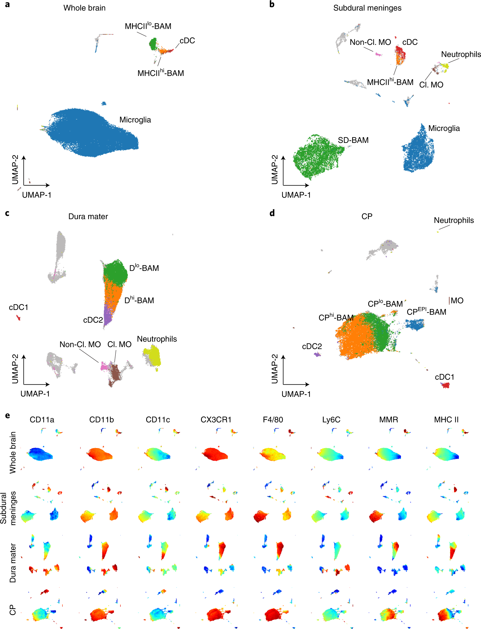 Fig. 8: HD flow cytometry analysis of whole brain and border samples.