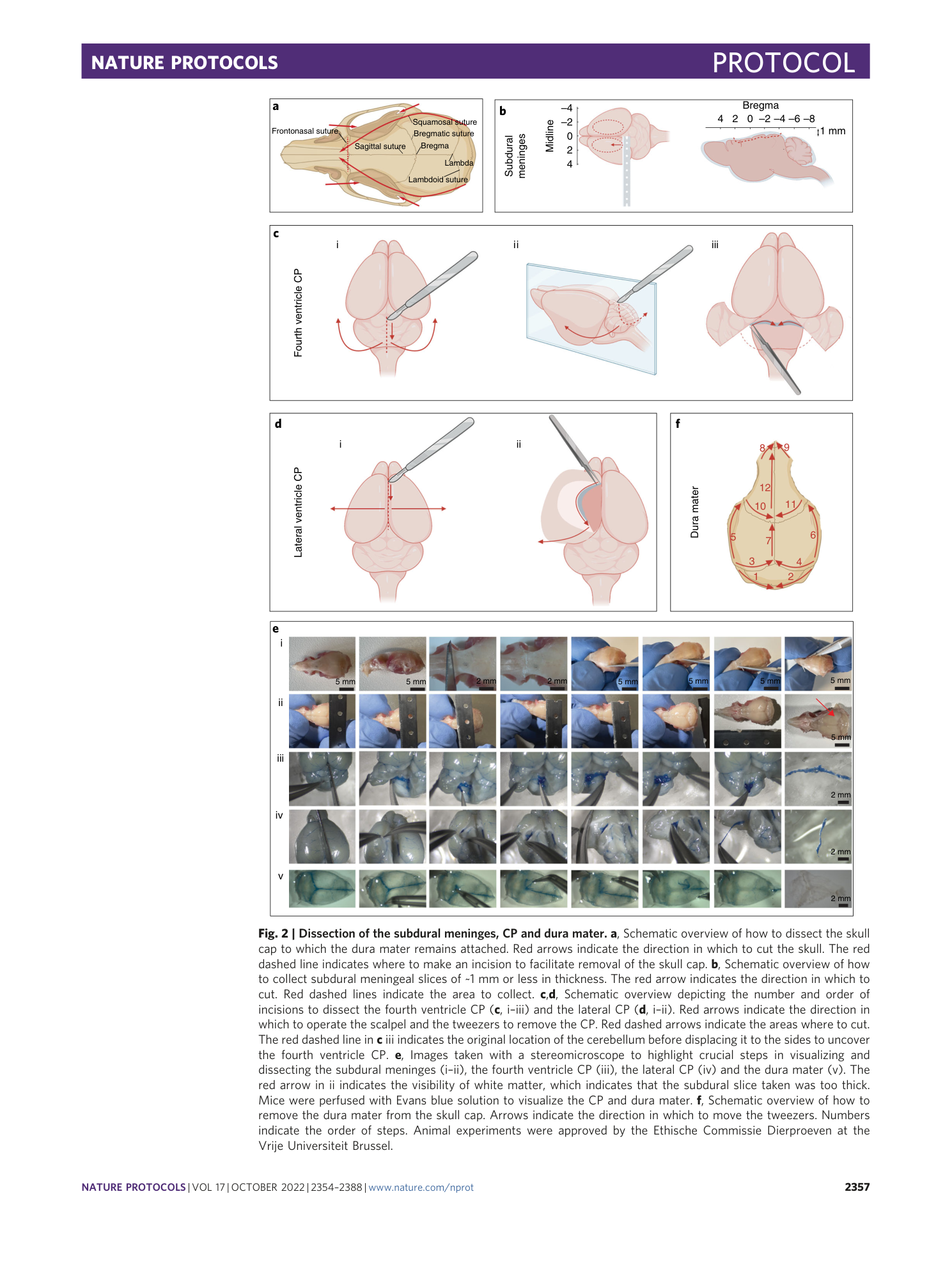page-4