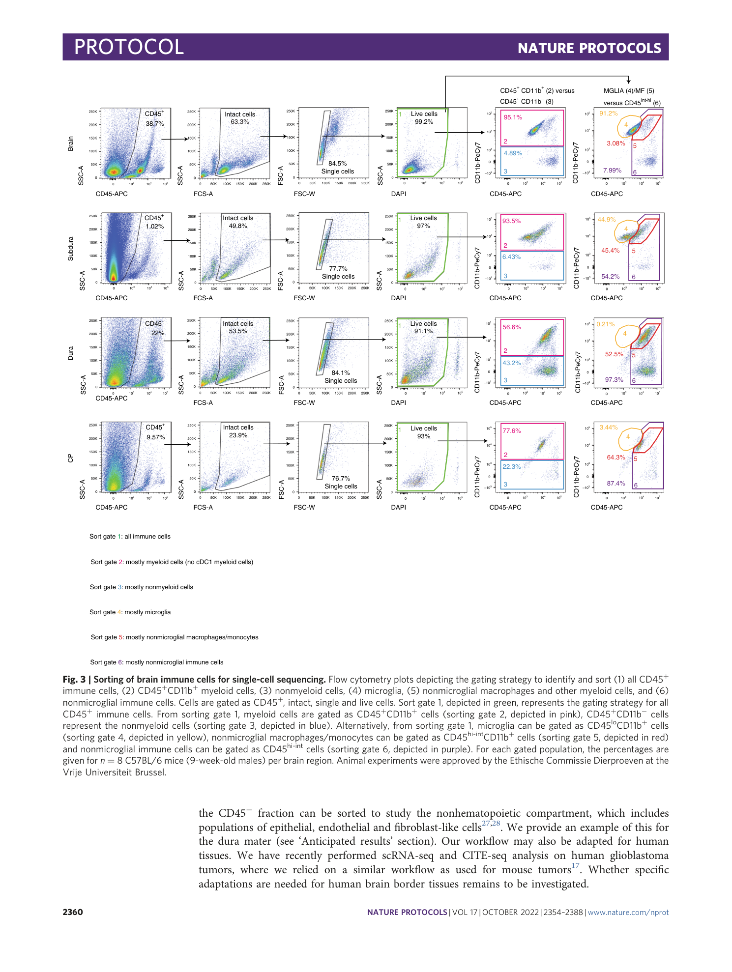 page-7