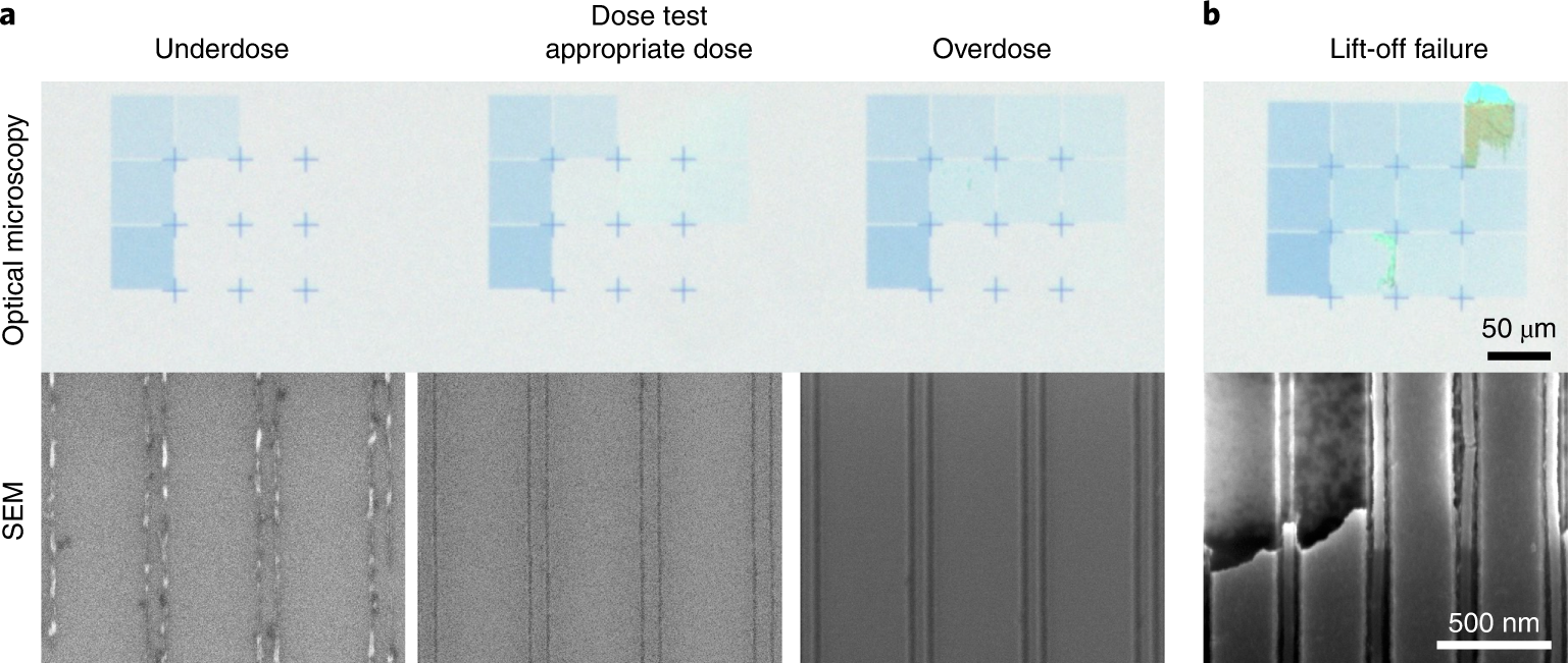 Fig. 3: Nanofabrication inspection examples.