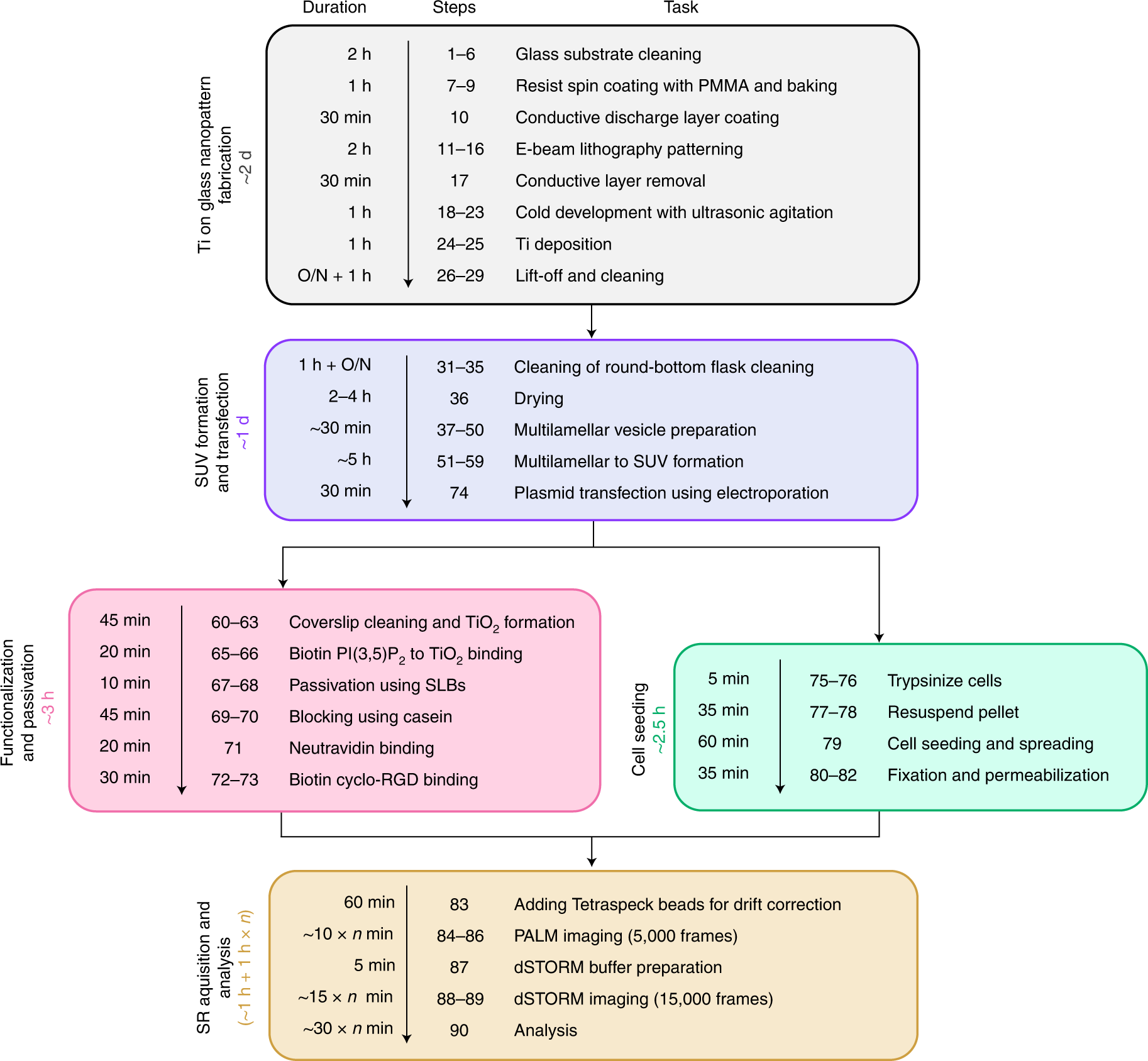 Fig. 7: Detailed timeline for nanopattern fabrication, functionalization, cell seeding and super-resolution imaging.