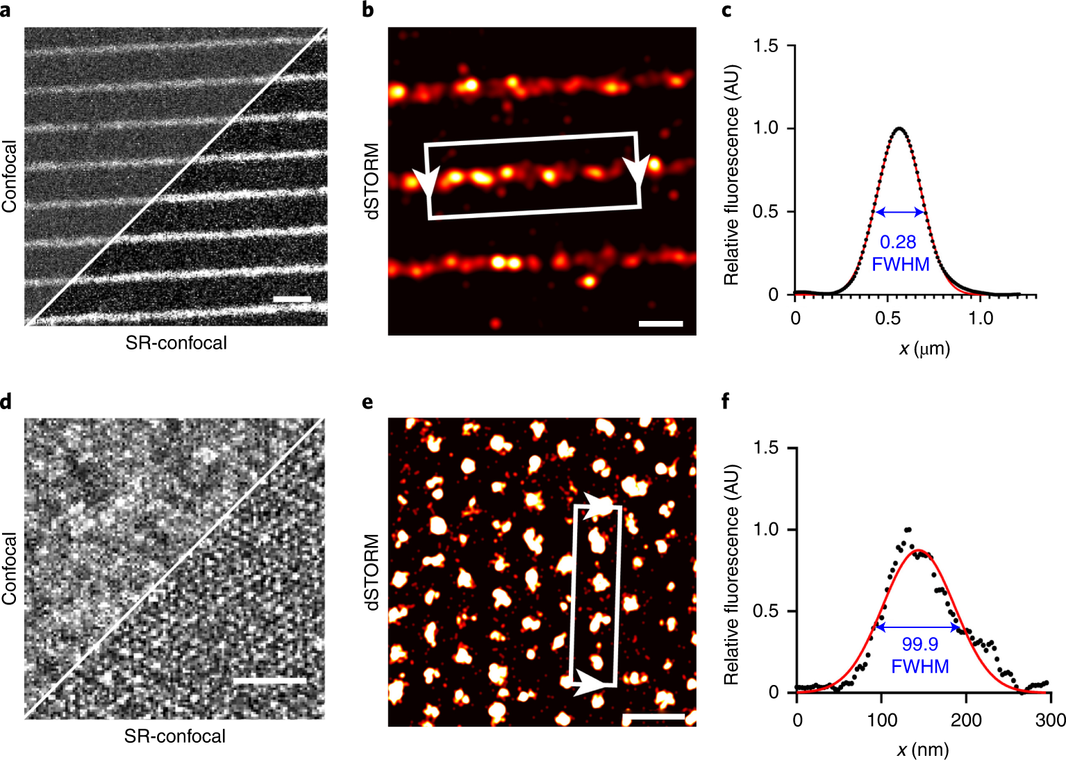Fig. 9: Functionalized substrates visualized using confocal and dSTORM microscopy.