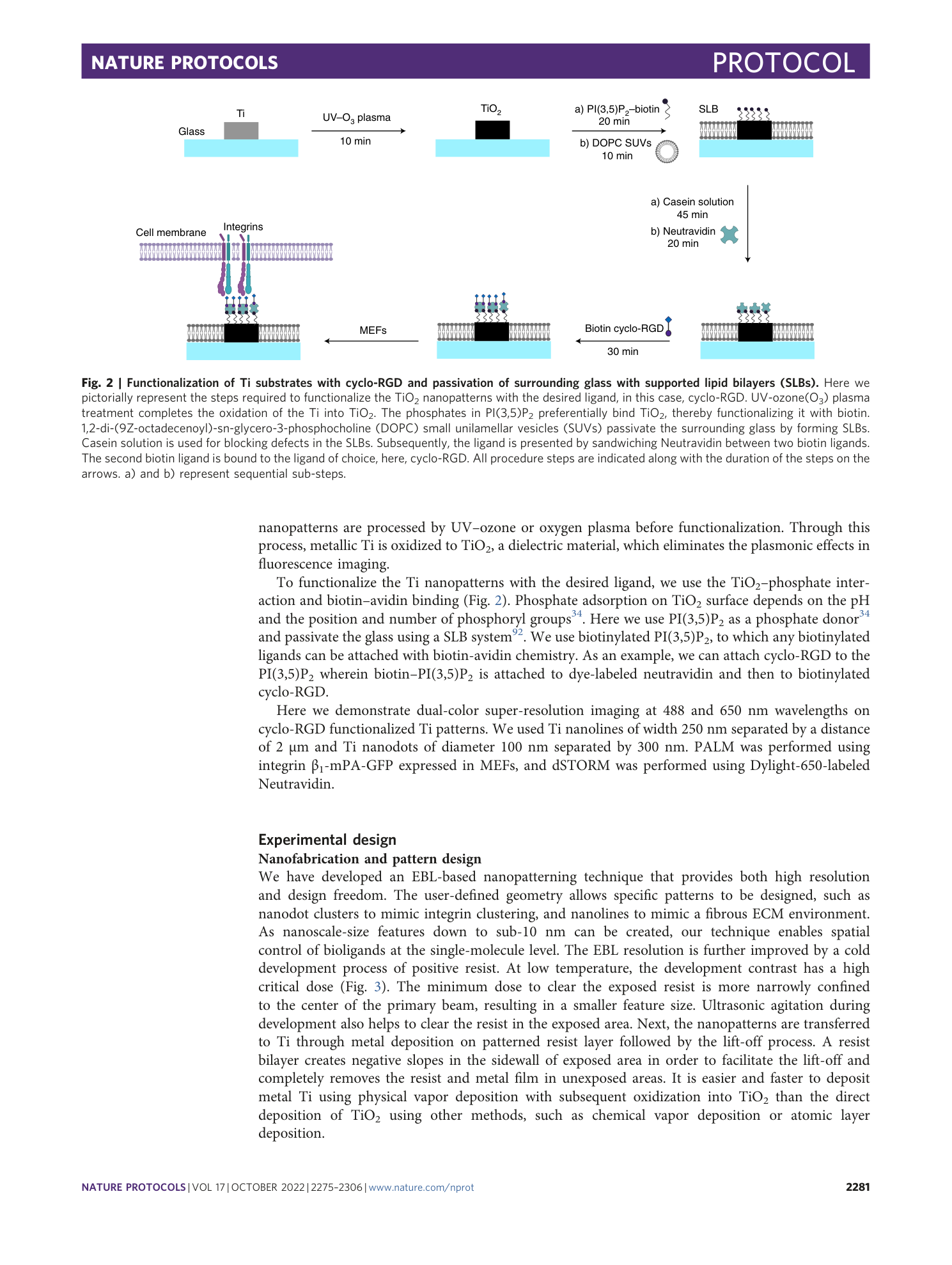 page-7