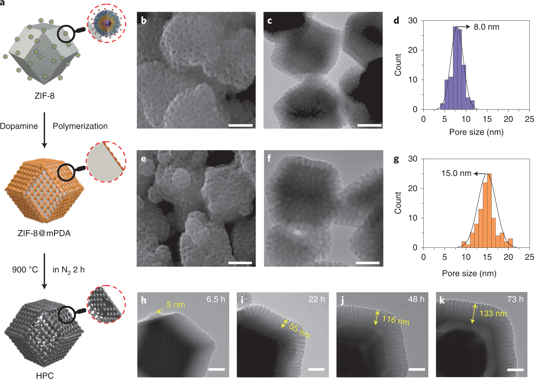 Fig. 6: mPDA coating of ZIF-8.