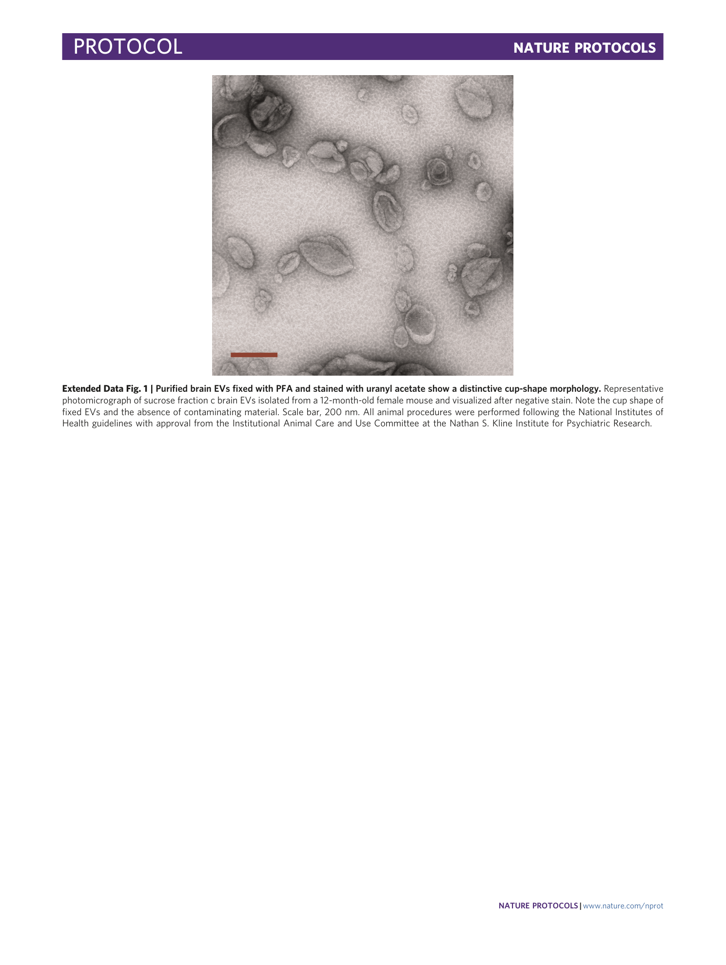 page-34