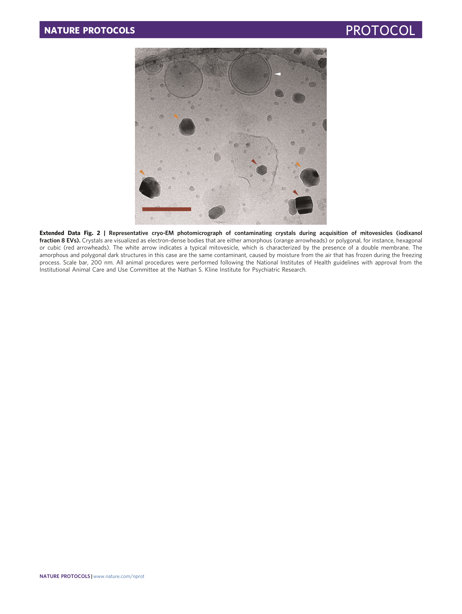 page-35