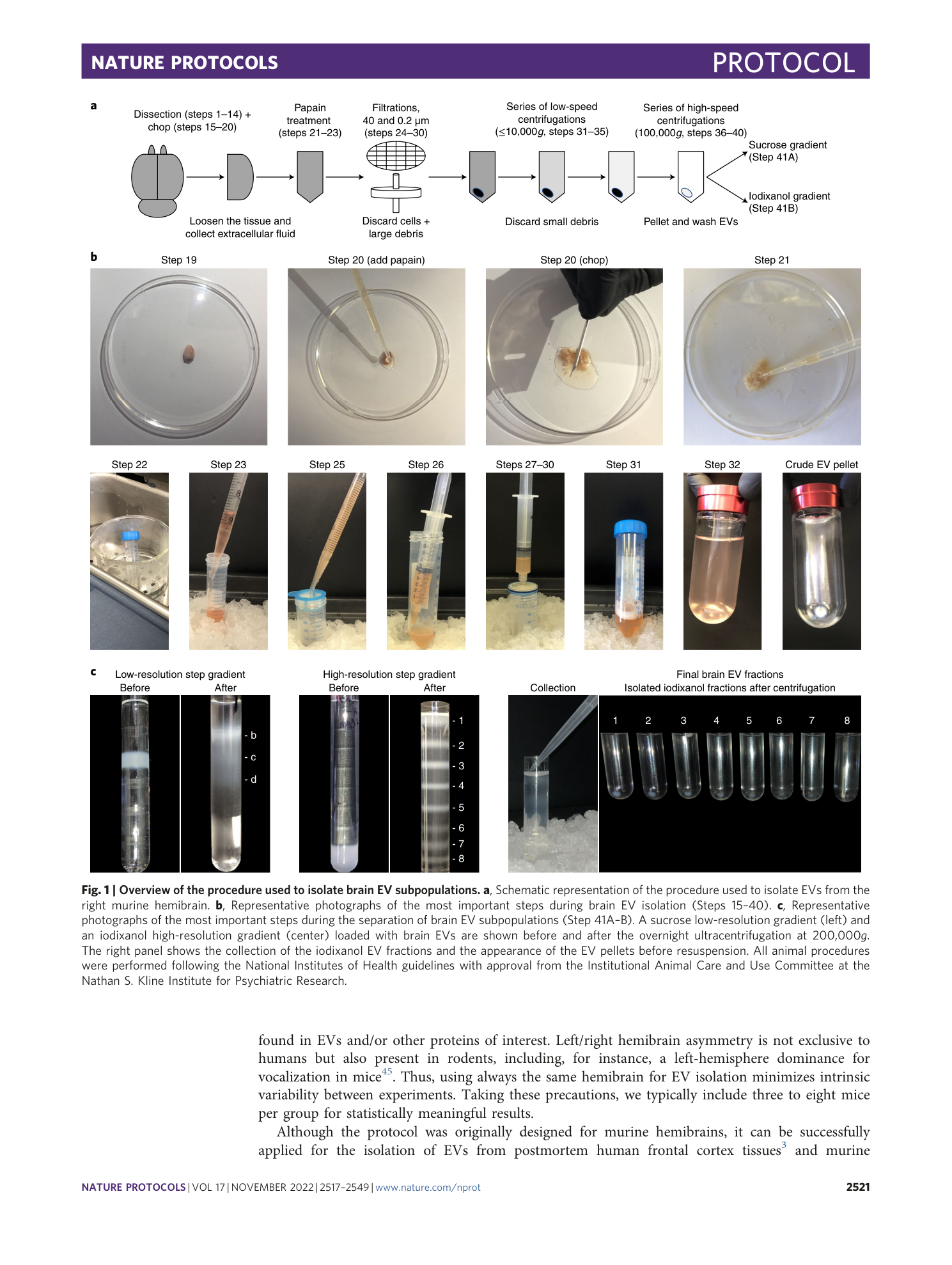 page-5