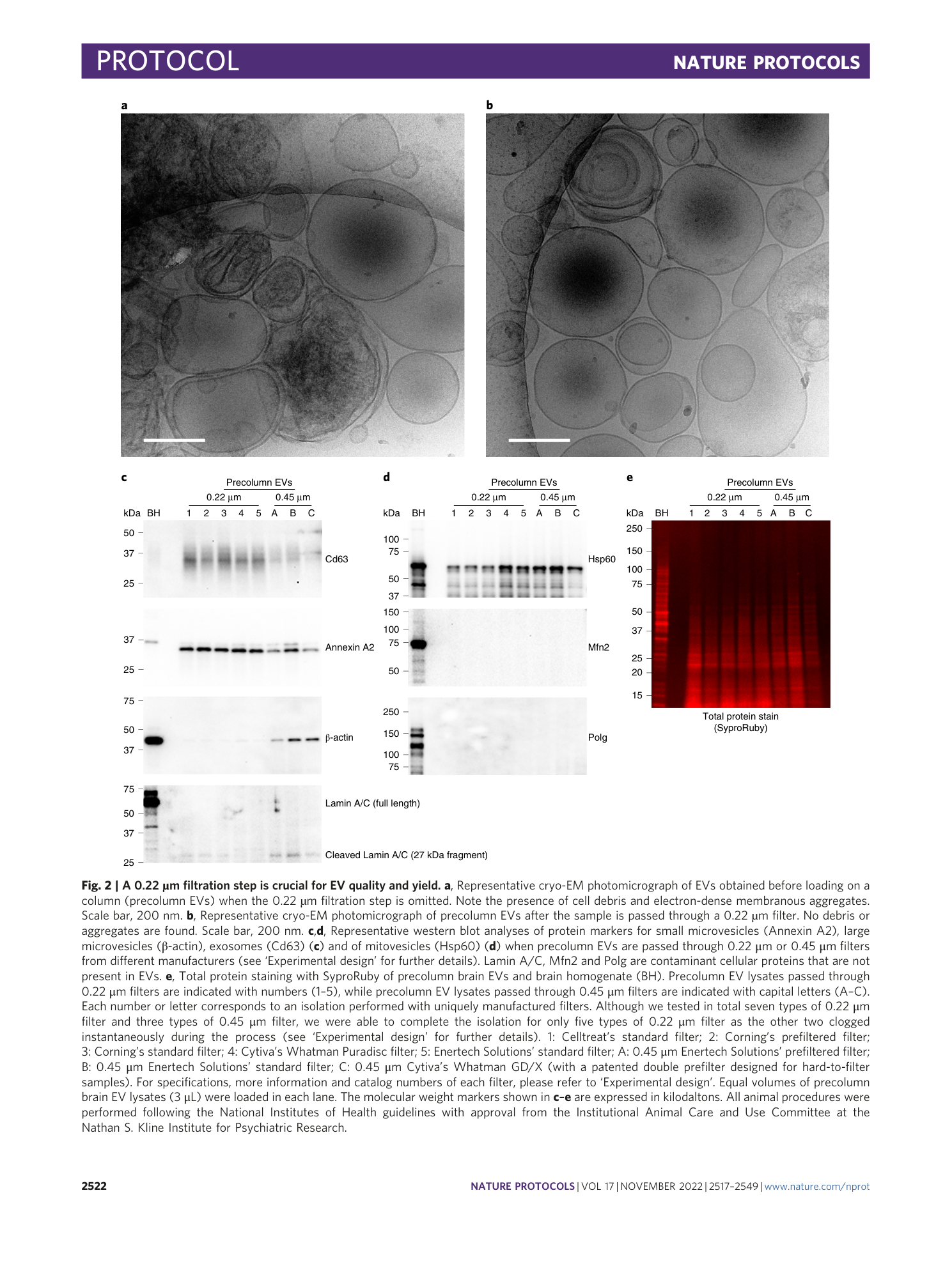 page-6