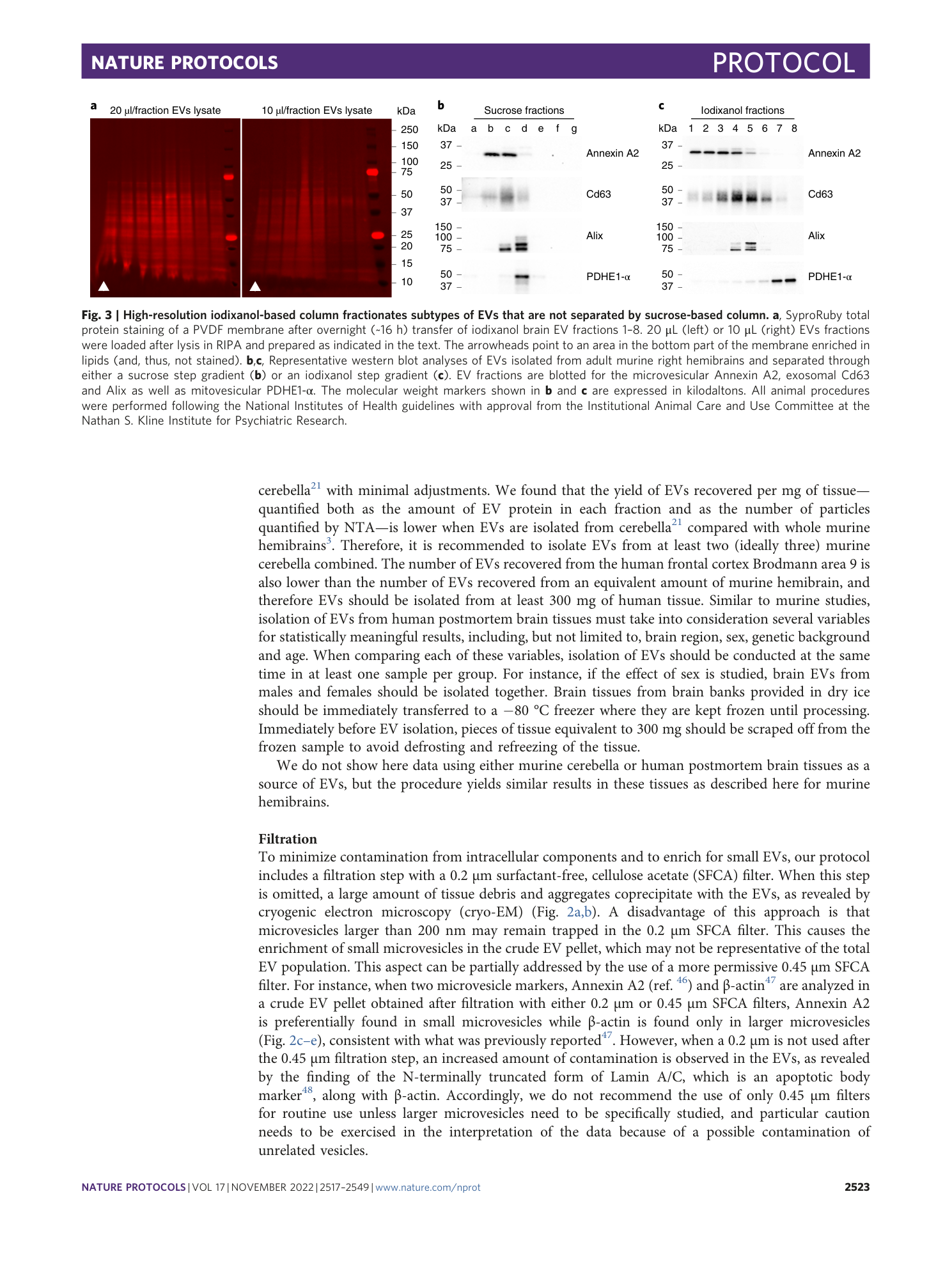 page-7