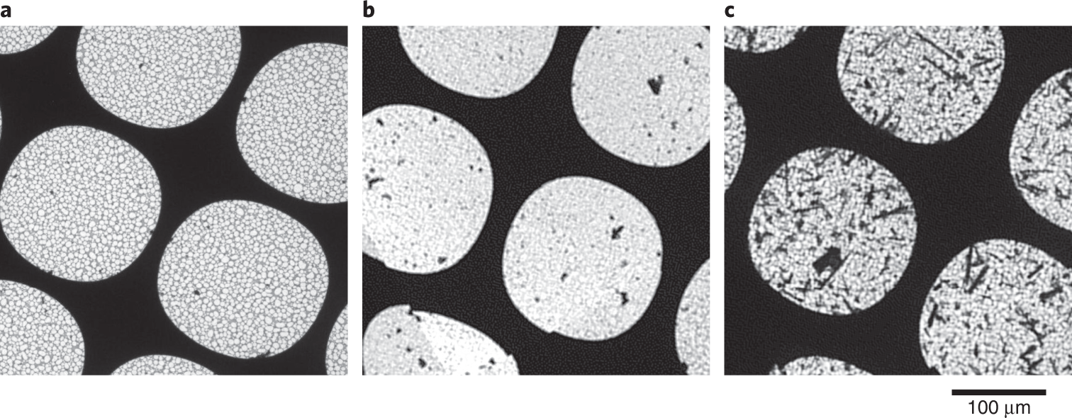 Fig. 5: Low-magnification TEM images showing an overview of the crystal distribution on the grid.