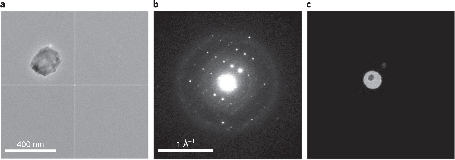 Fig. 7: Example of crystal tracking using Instamatic.