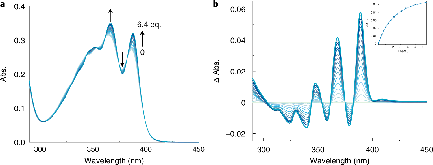 Fig. 6: UV-visible spectral titration of AC with 10.