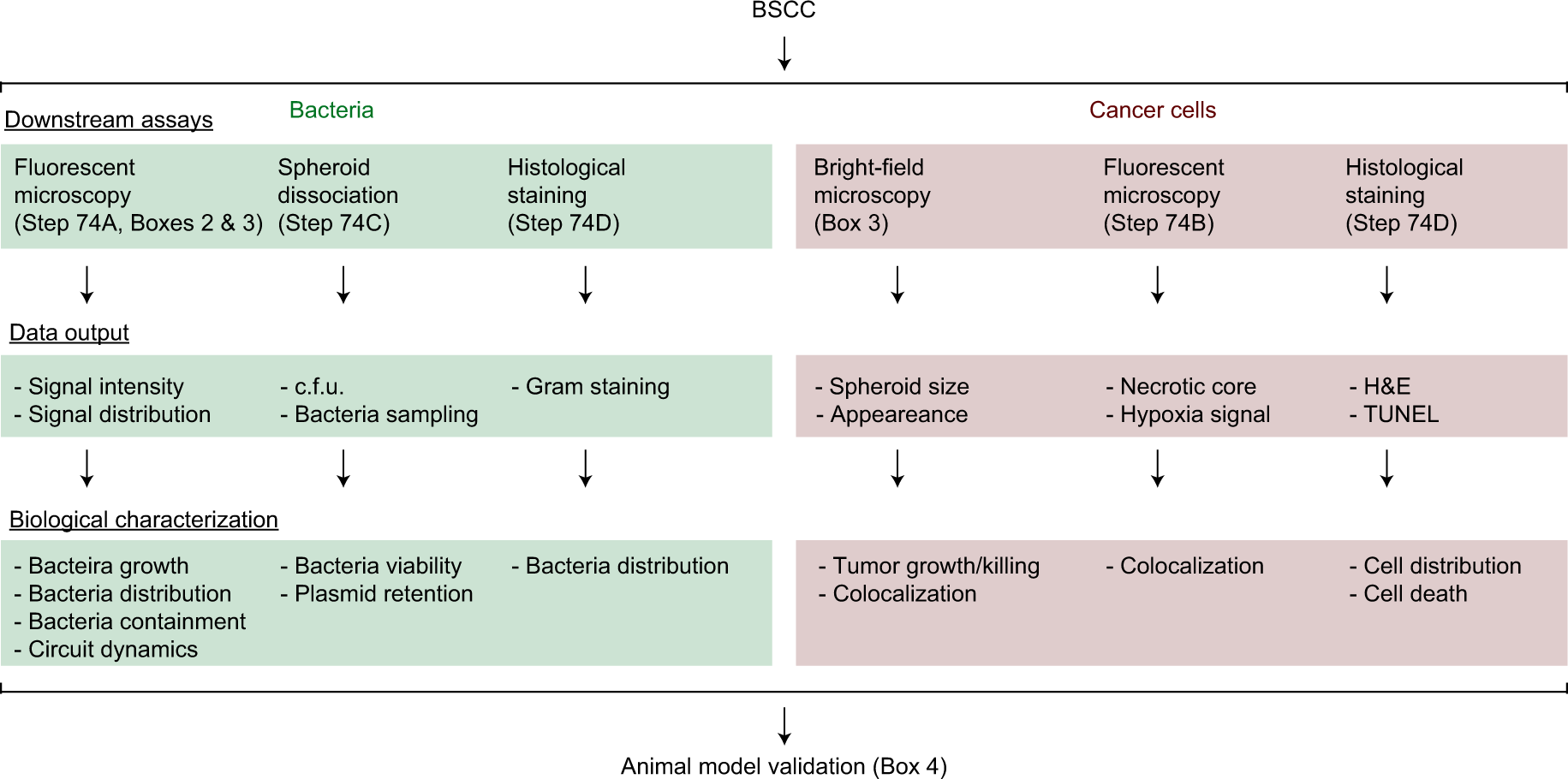 Fig. 3: Overview of the downstream assays and their utilities.