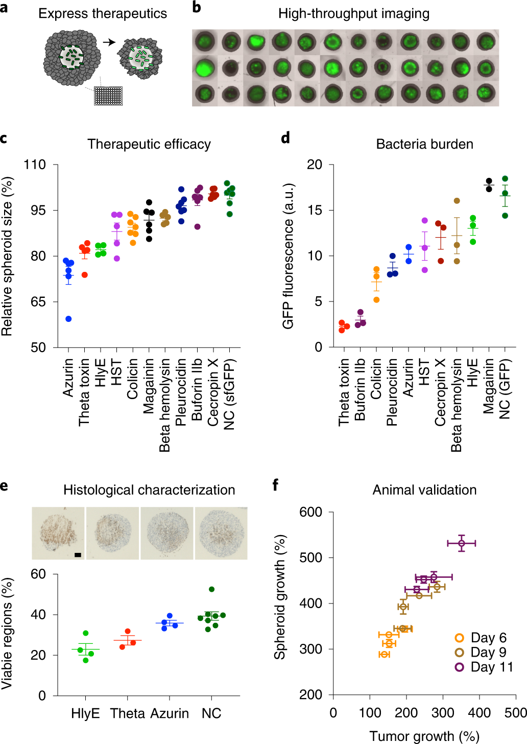Fig. 7: Therapeutic screening and validation.