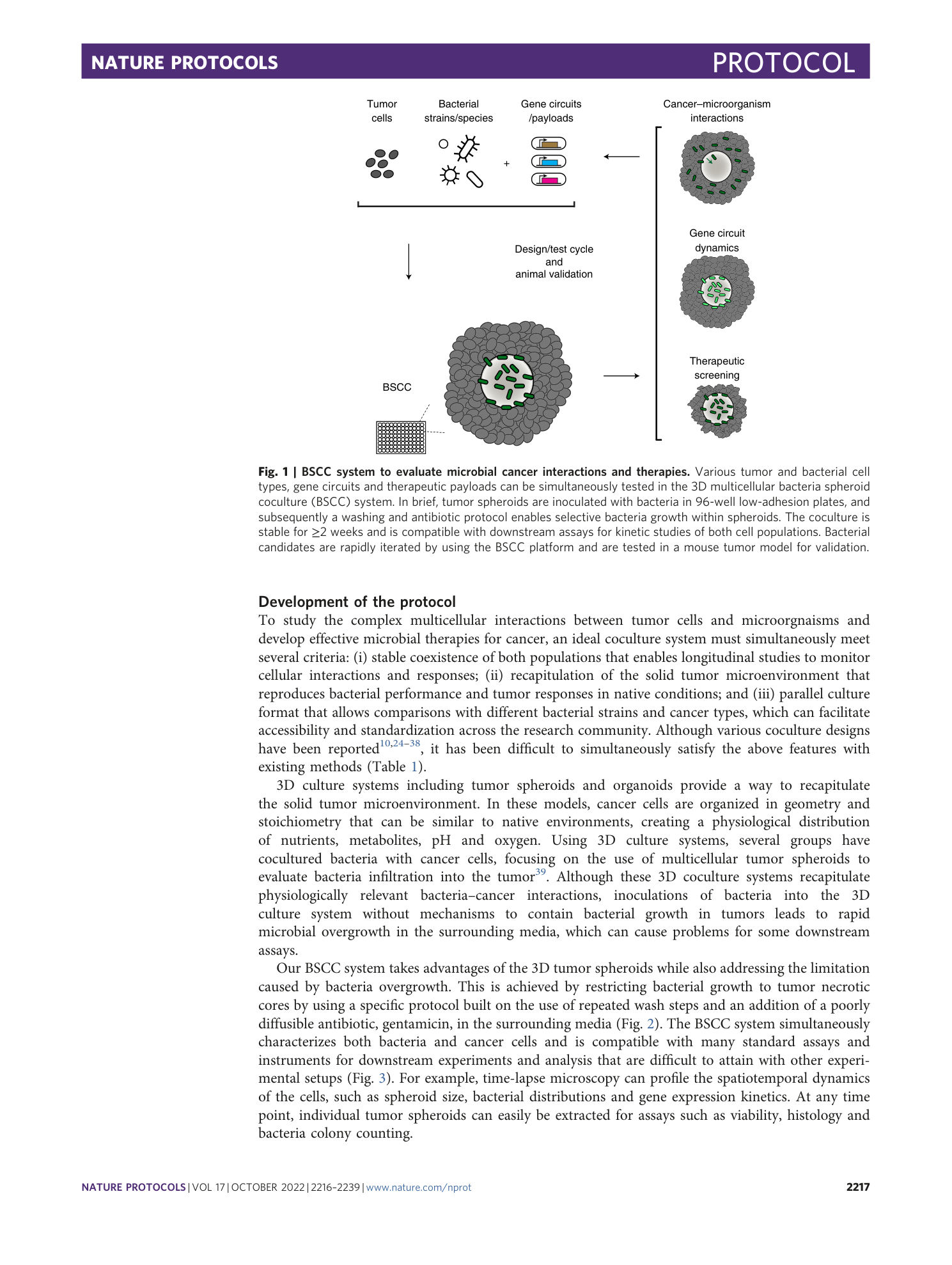 page-2