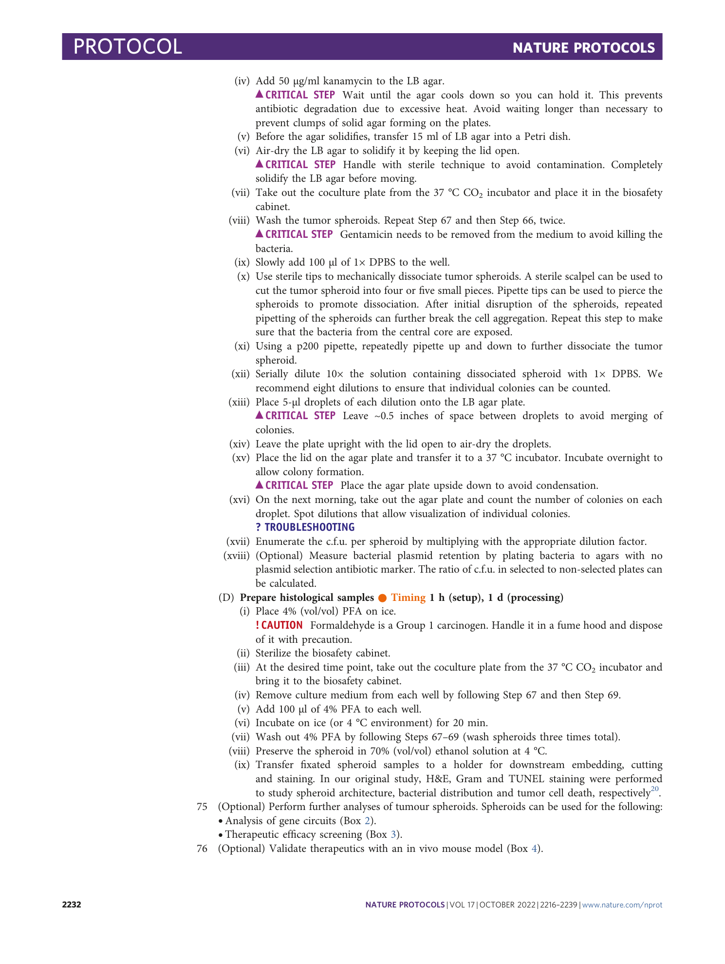 page-17