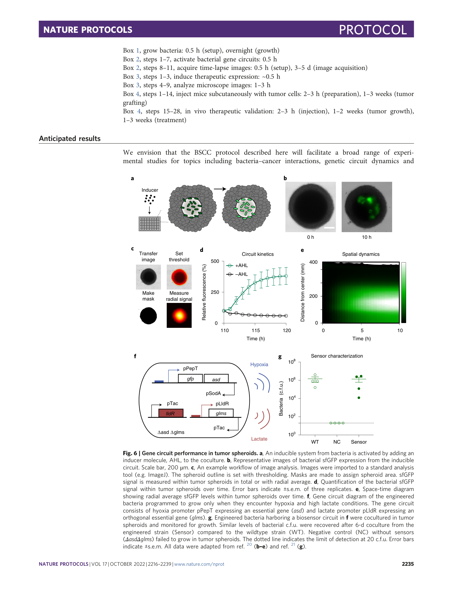 page-20