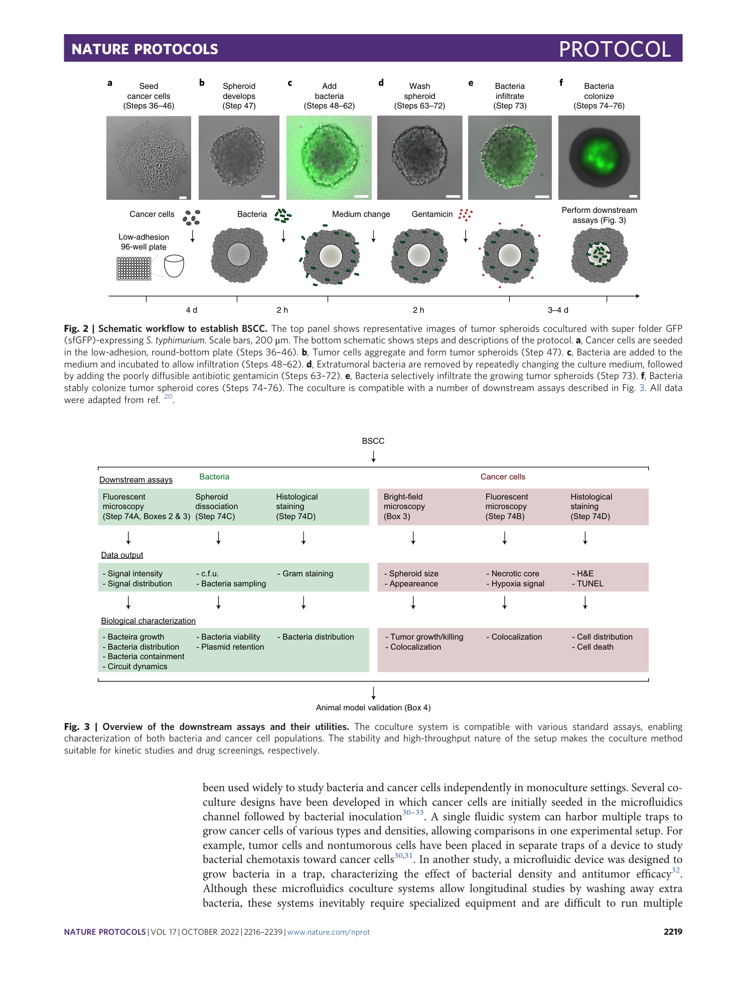 page-4
