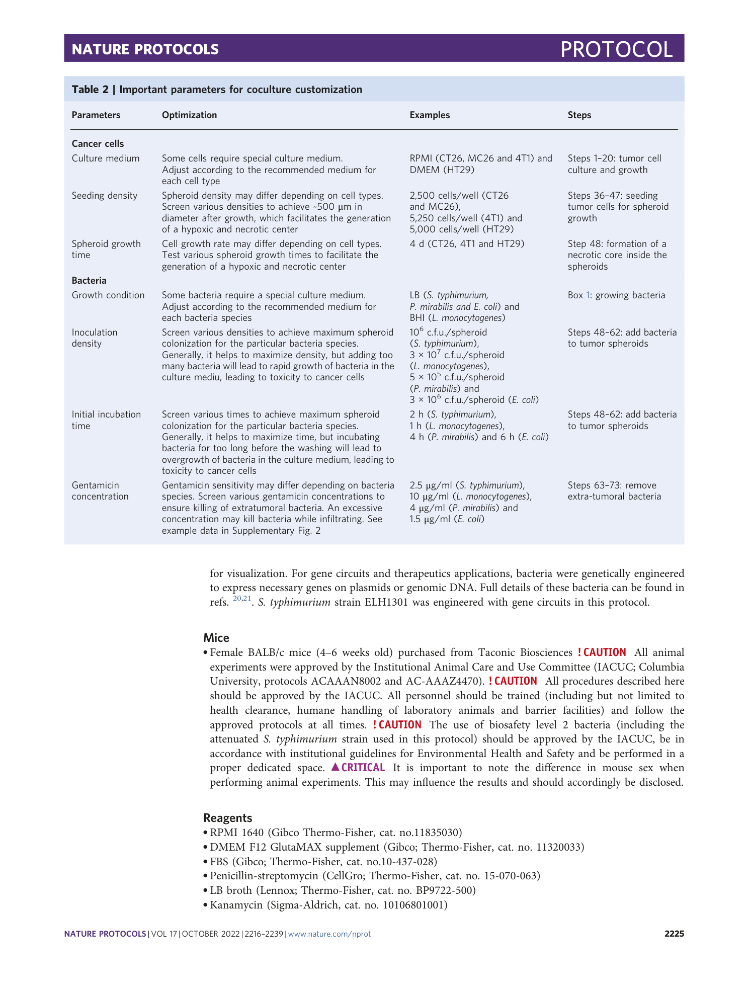 page-10