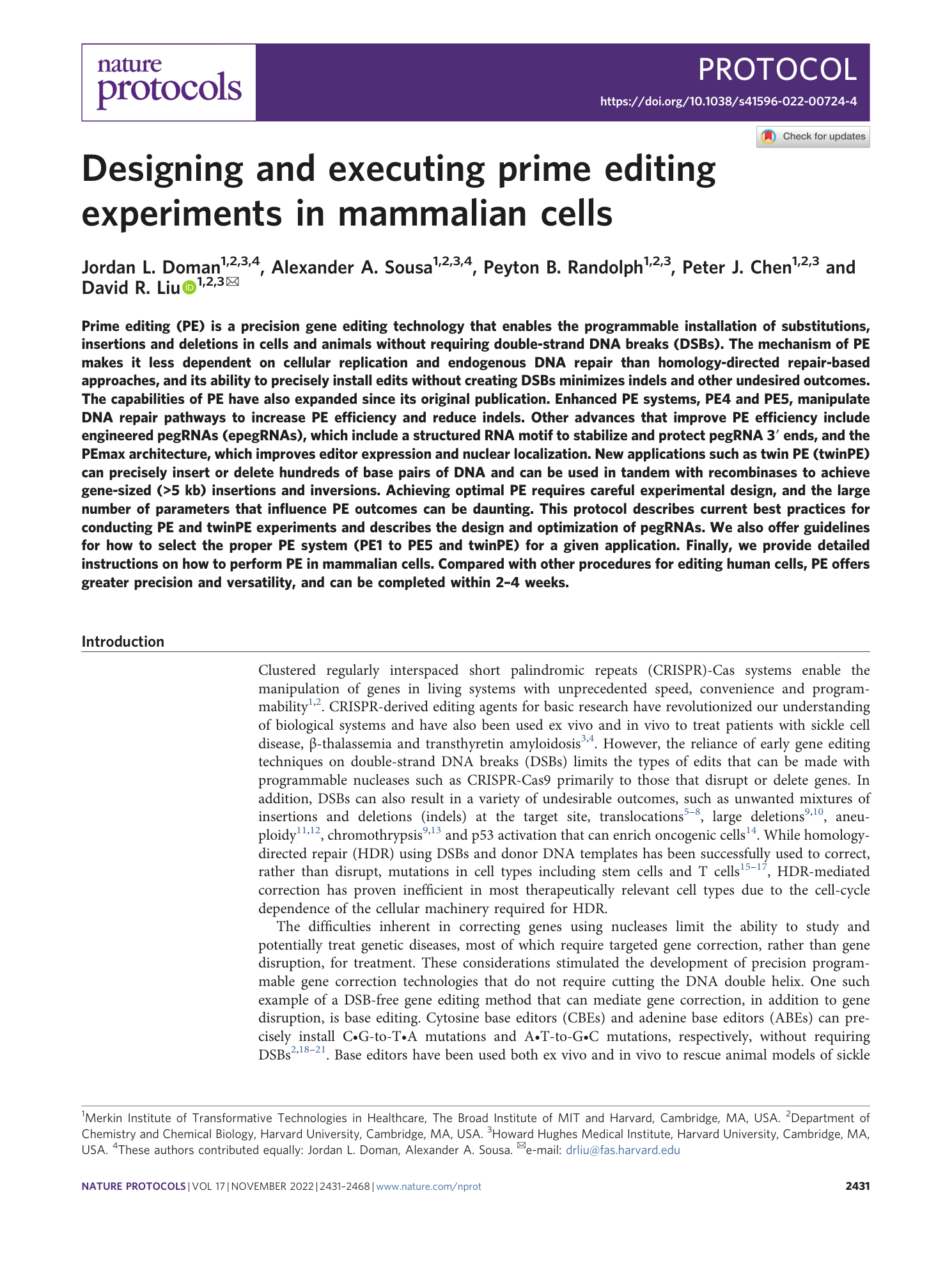Designing and executing prime editing experiments in mammalian cells ...