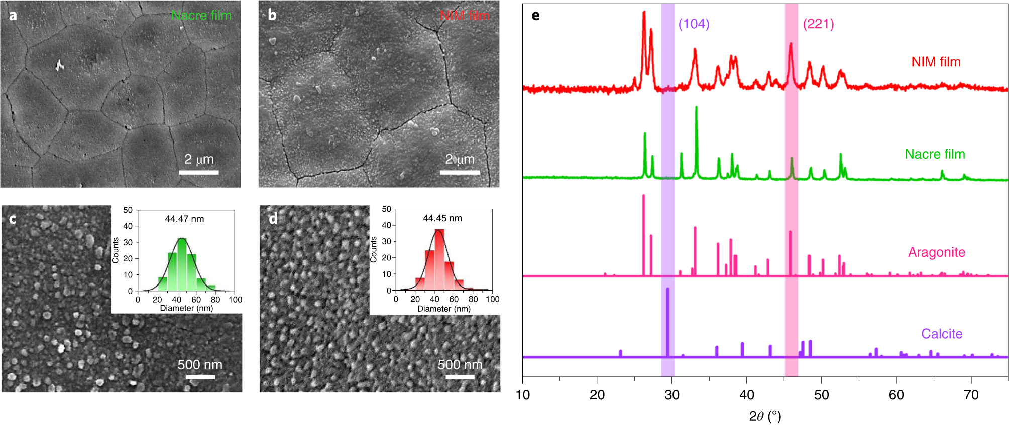 Fig. 2: The NIM film is similar to natural nacre in both chemical composition and physical structure.