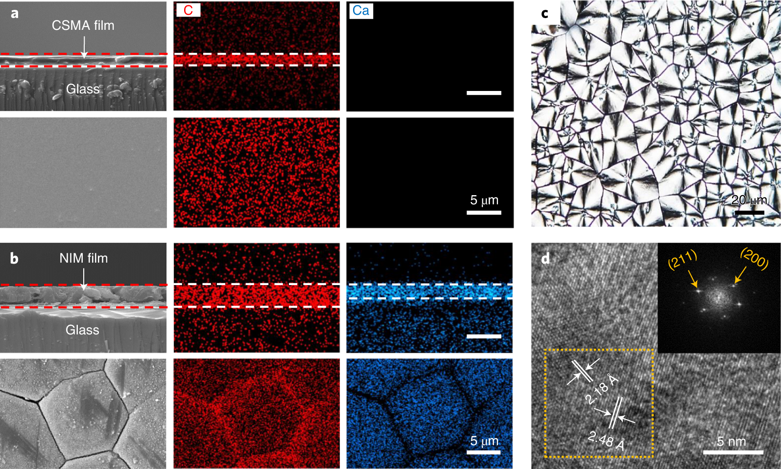Fig. 3: Morphology characterization of the NIM film.