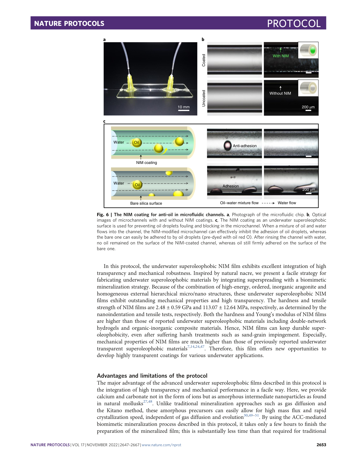 page-7