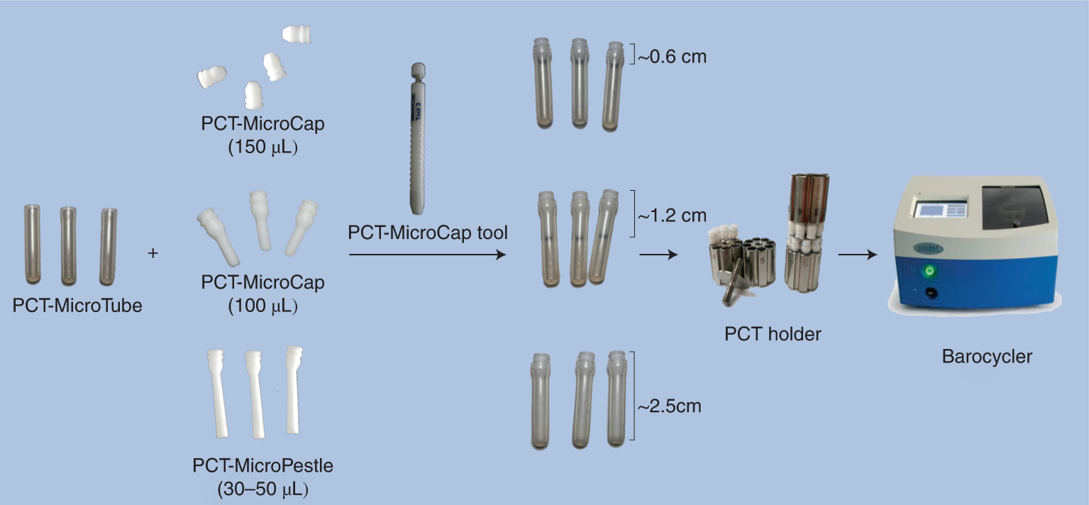 Fig. 1: PCT-assisted sample preparation equipment setup.