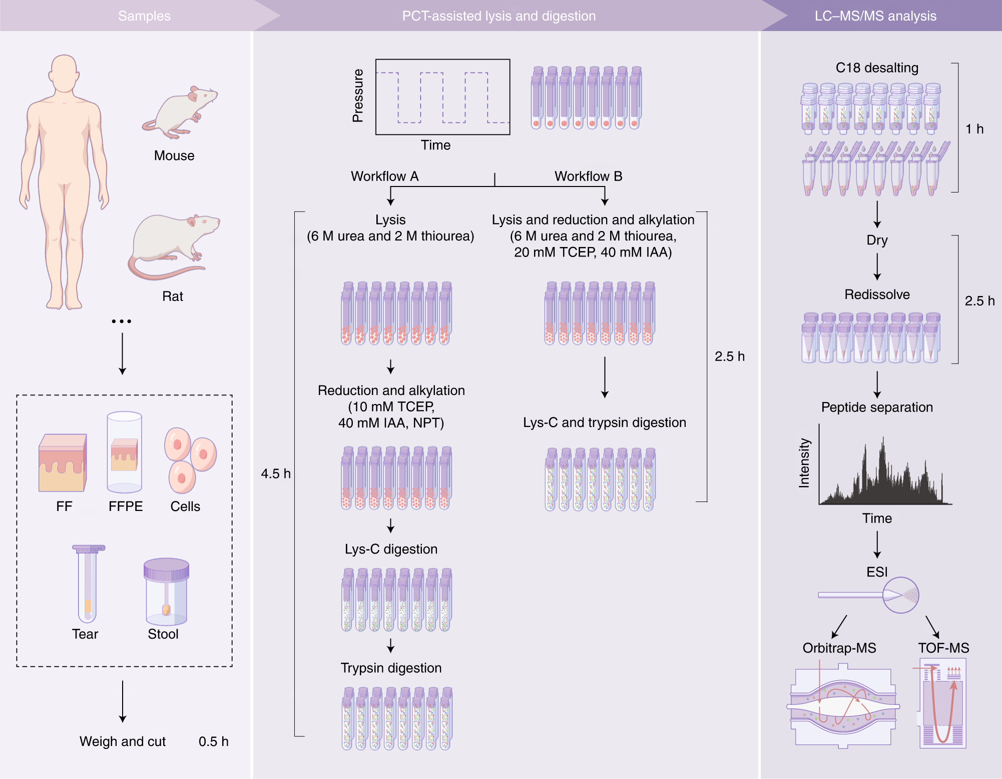 Fig. 2: Workflow and experimental design for PCT-assisted sample preparation.
