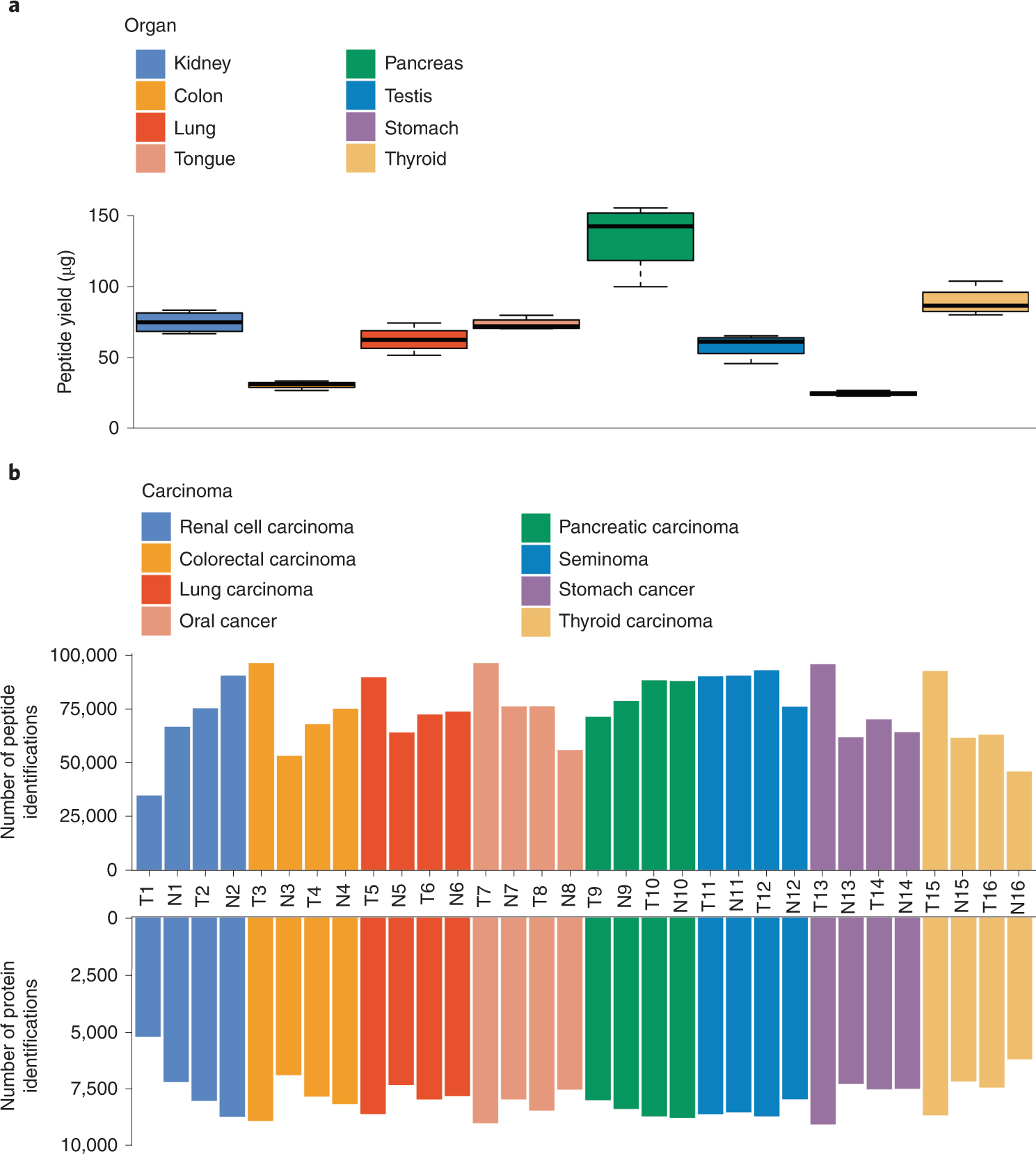 Fig. 4: Application of the PCT-assisted sample preparation protocol for human tumors.