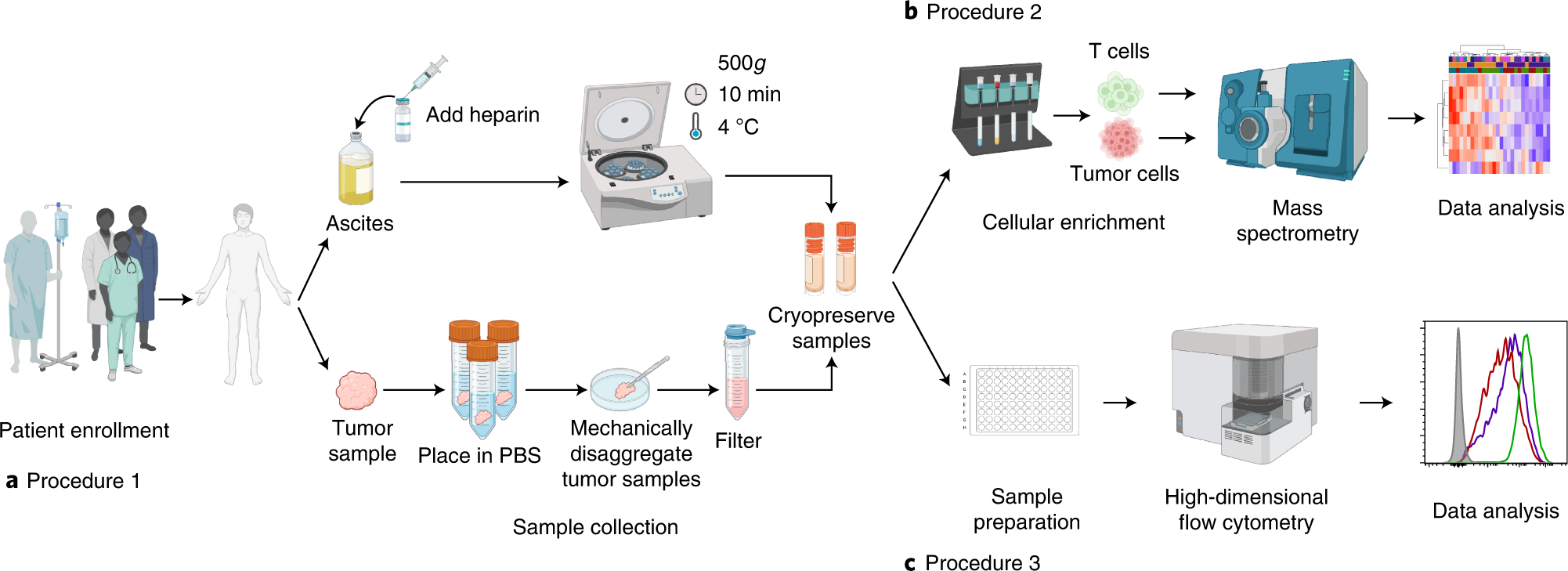 Fig. 1: Overall workflow.