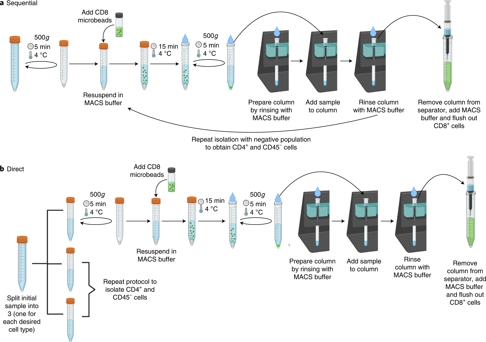 Fig. 2: Schematic of cell enrichment and metabolite profiling (Step 31).